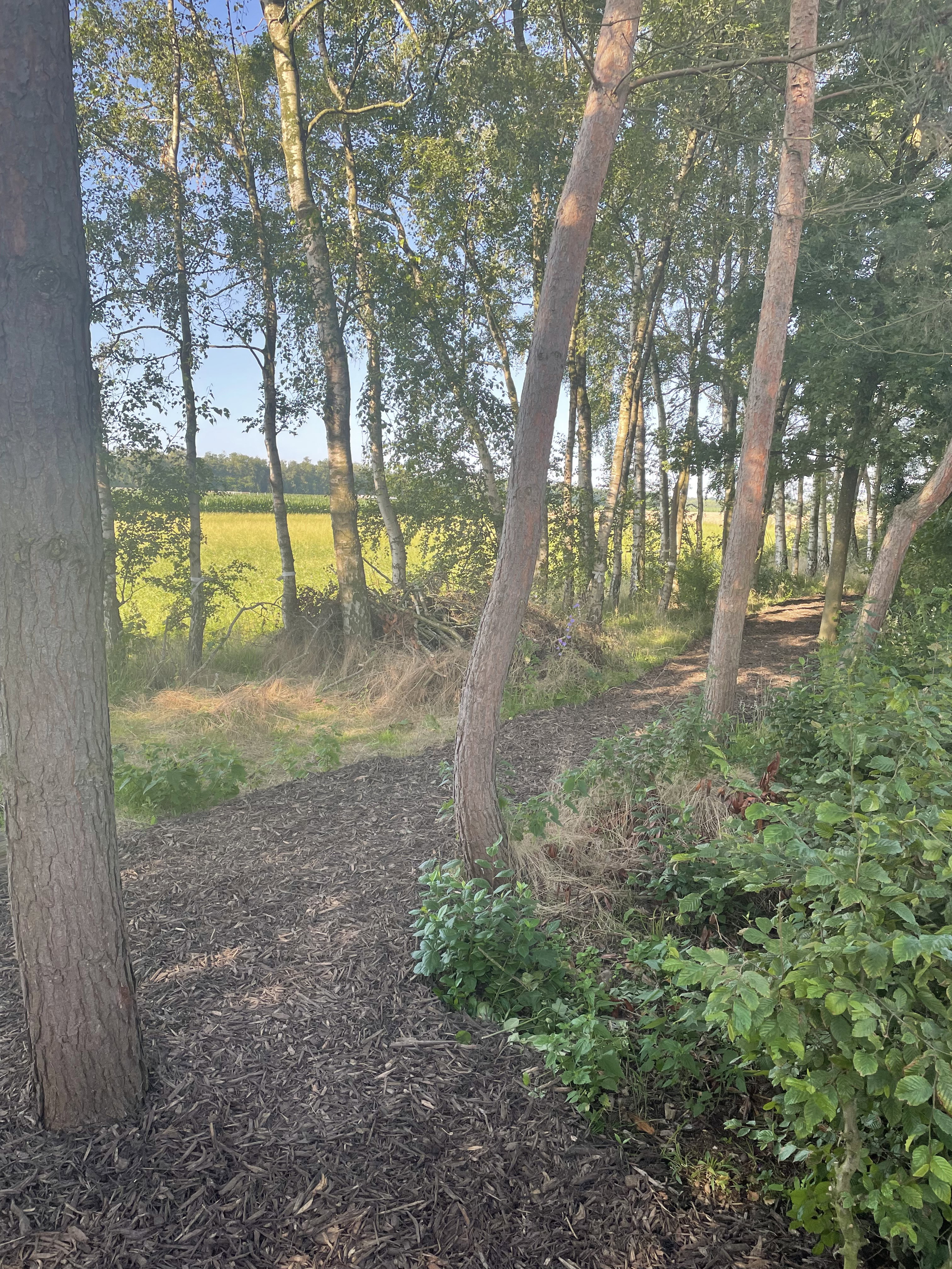 Natuurhuisje in Poppel