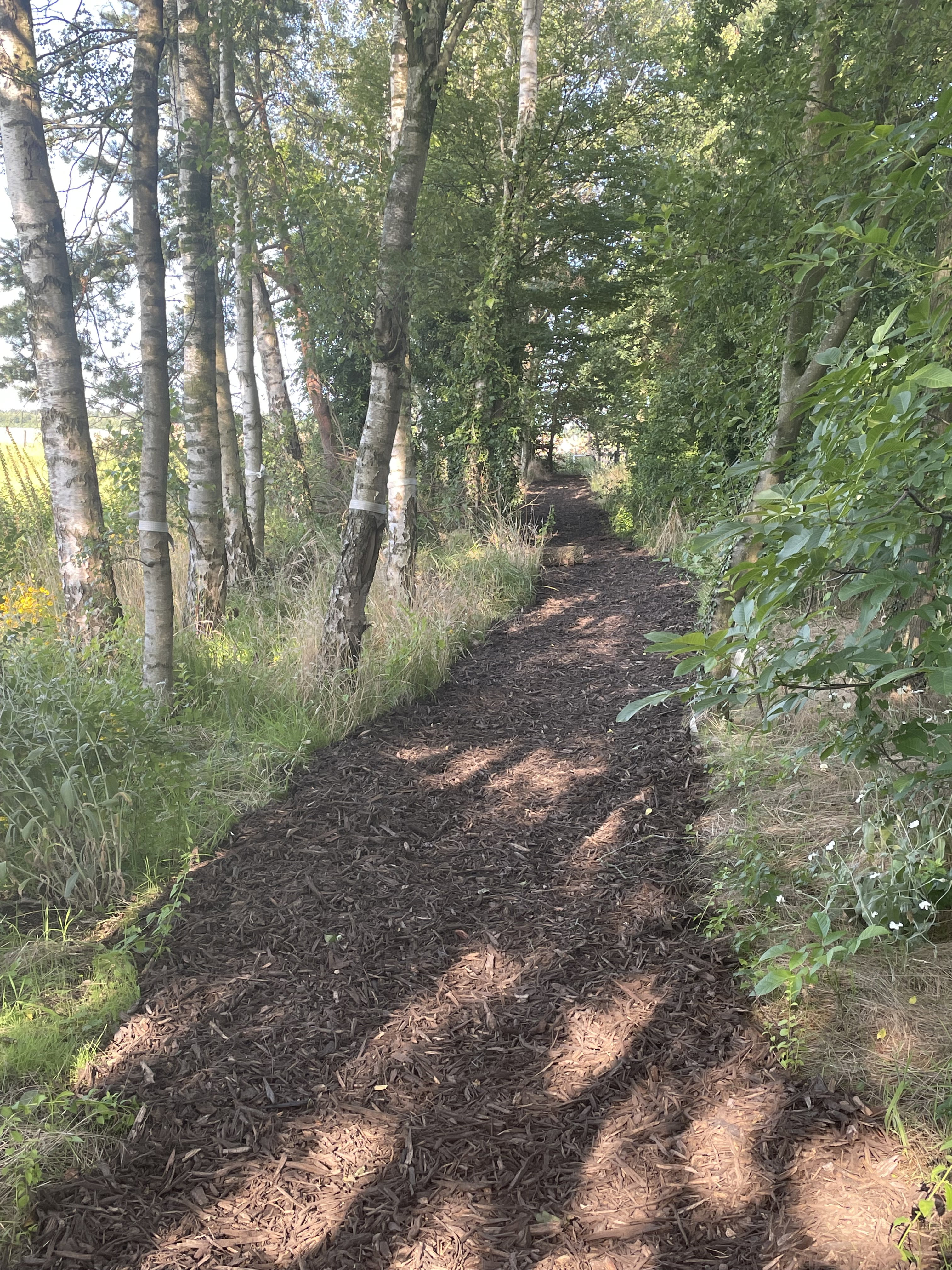 Natuurhuisje in Poppel