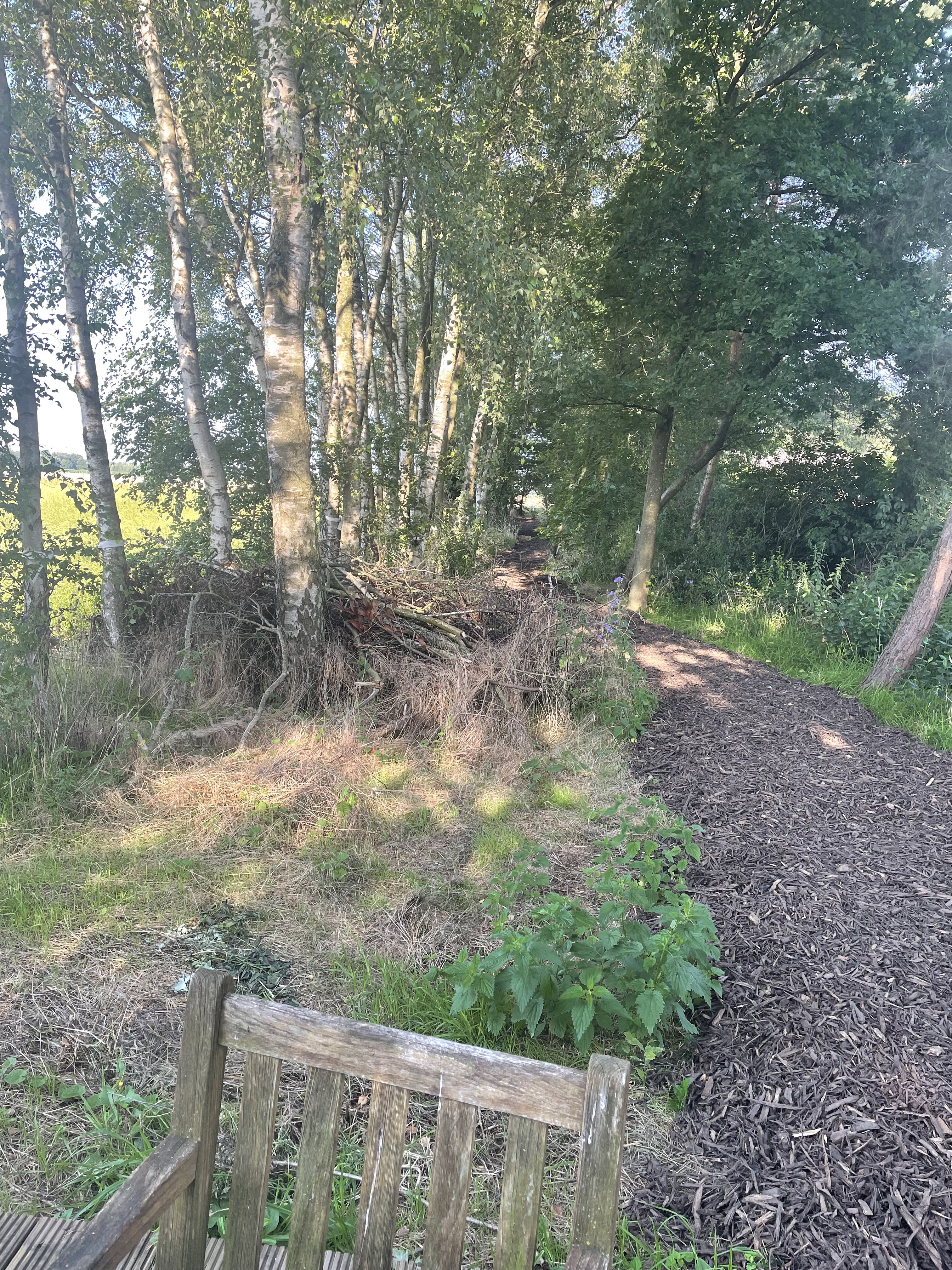 Natuurhuisje in Poppel