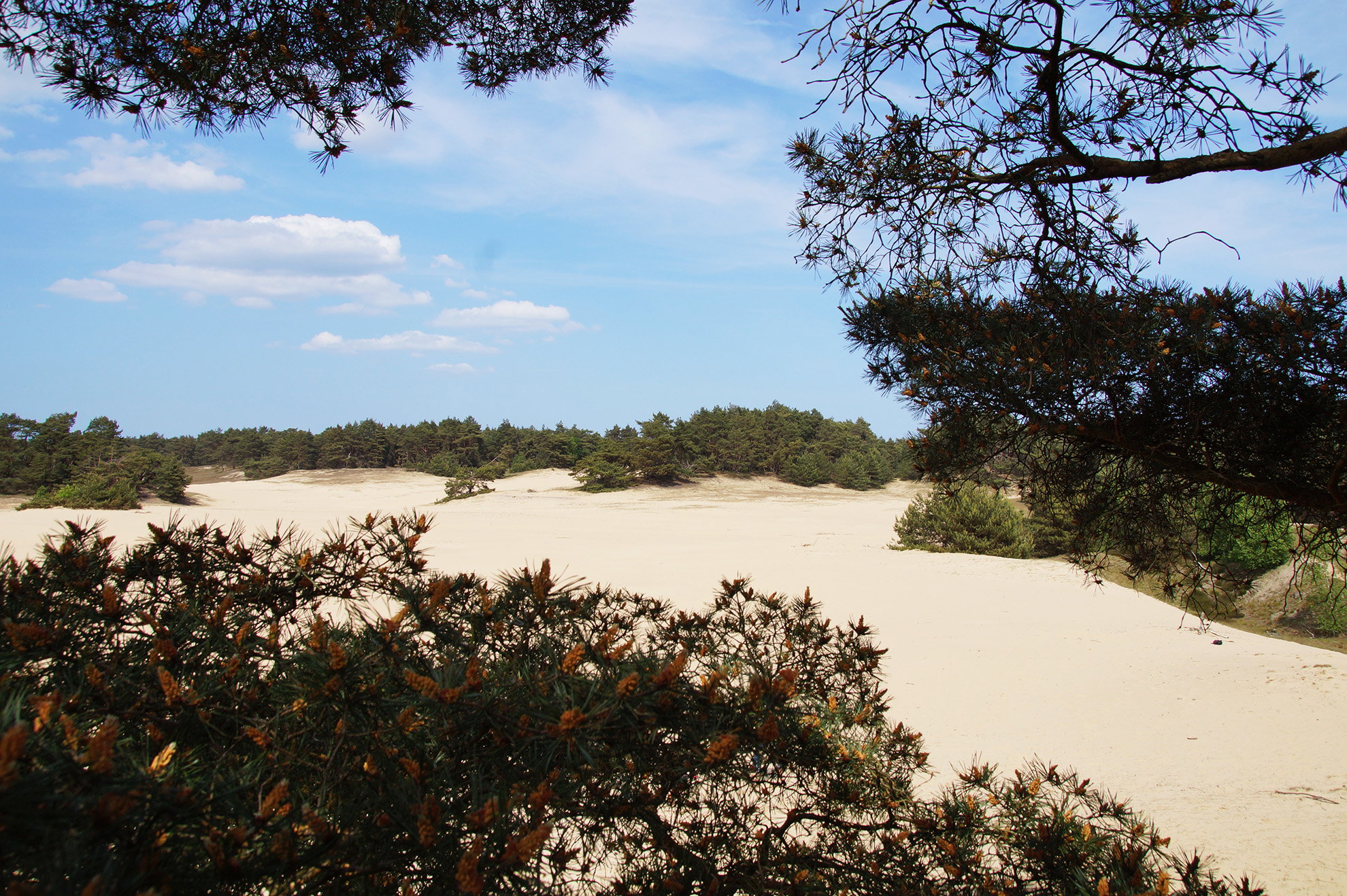 Natuurhuisje in Wekerom