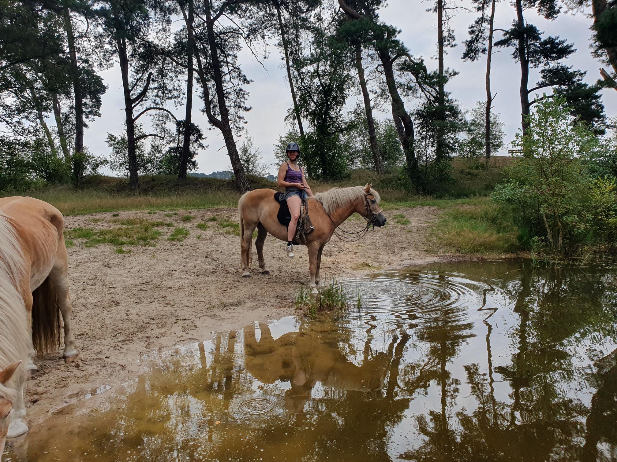 Natuurhuisje in Wekerom