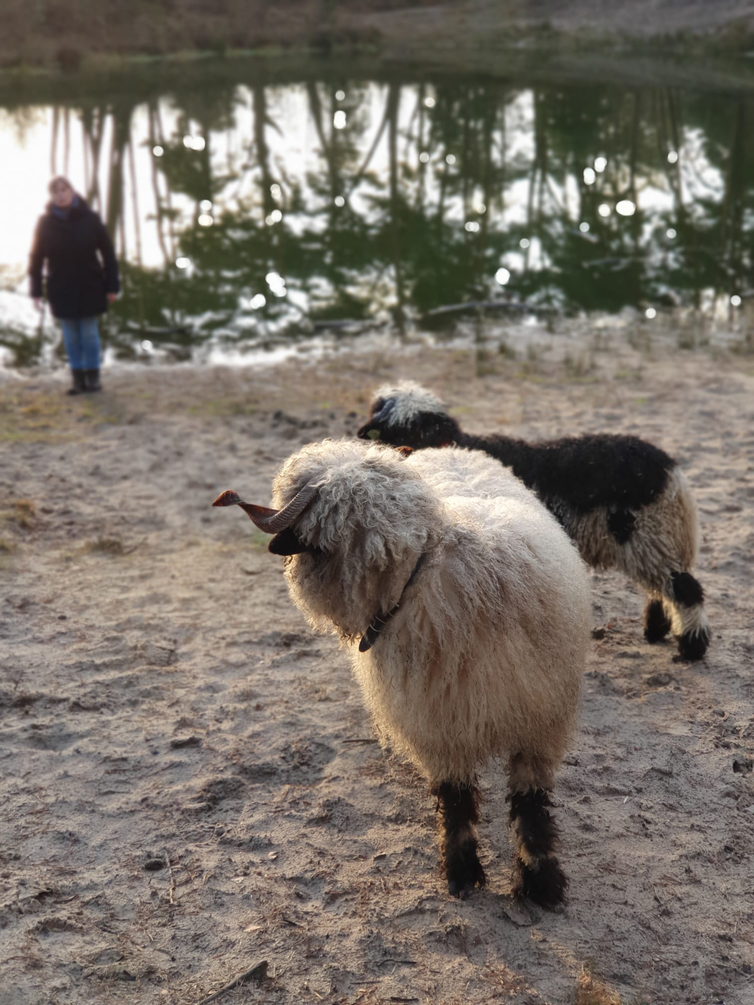 Natuurhuisje in Wekerom