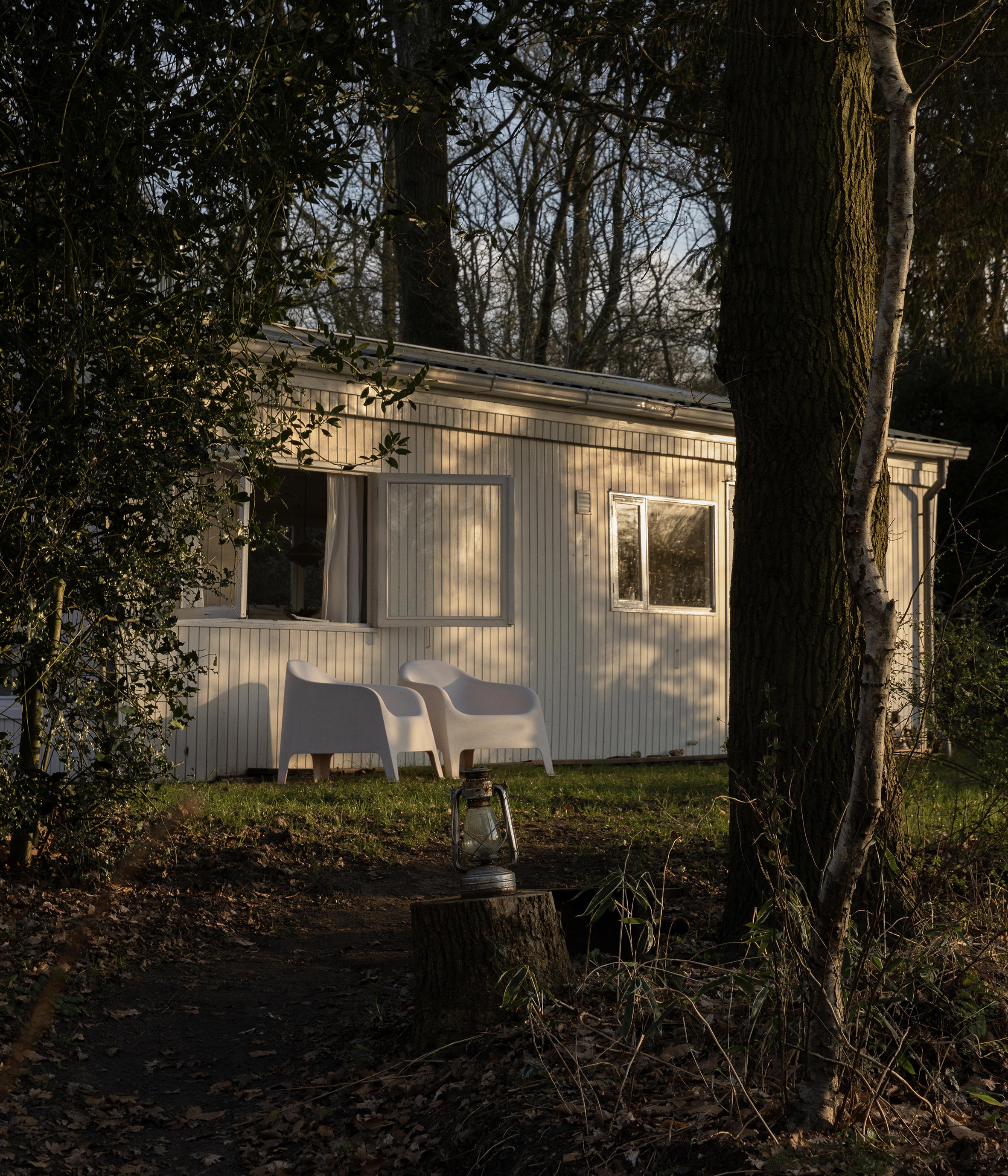 Nature house in Zuidlaren