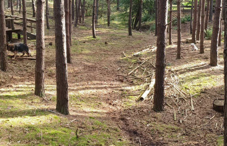 Natuurhuisje in Wekerom
