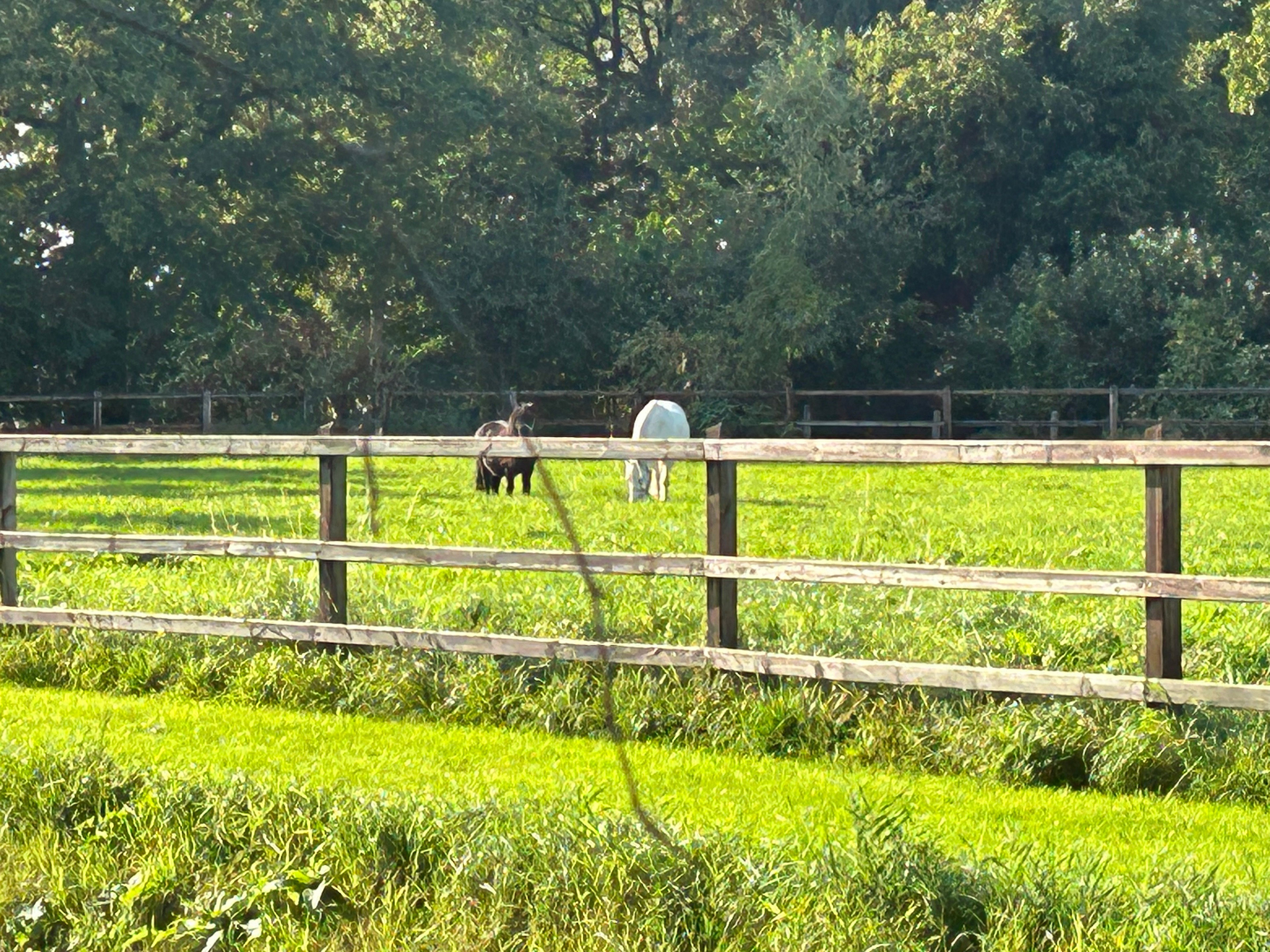 Natuurhuisje in Ambt Delden