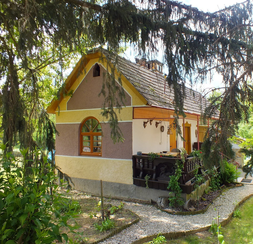 - image: 6
