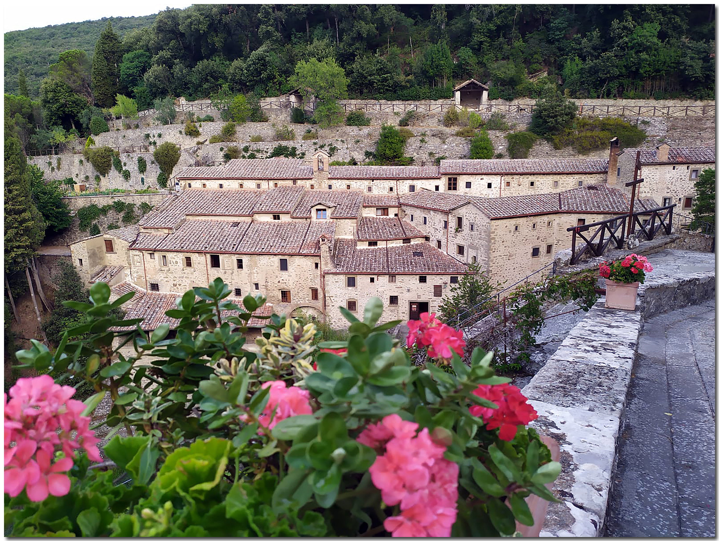 - image: 25