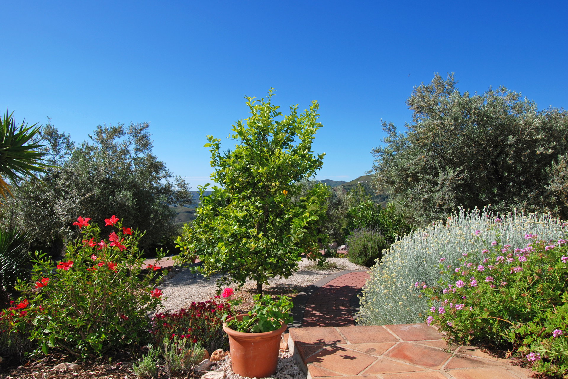 Maison nature à Comares