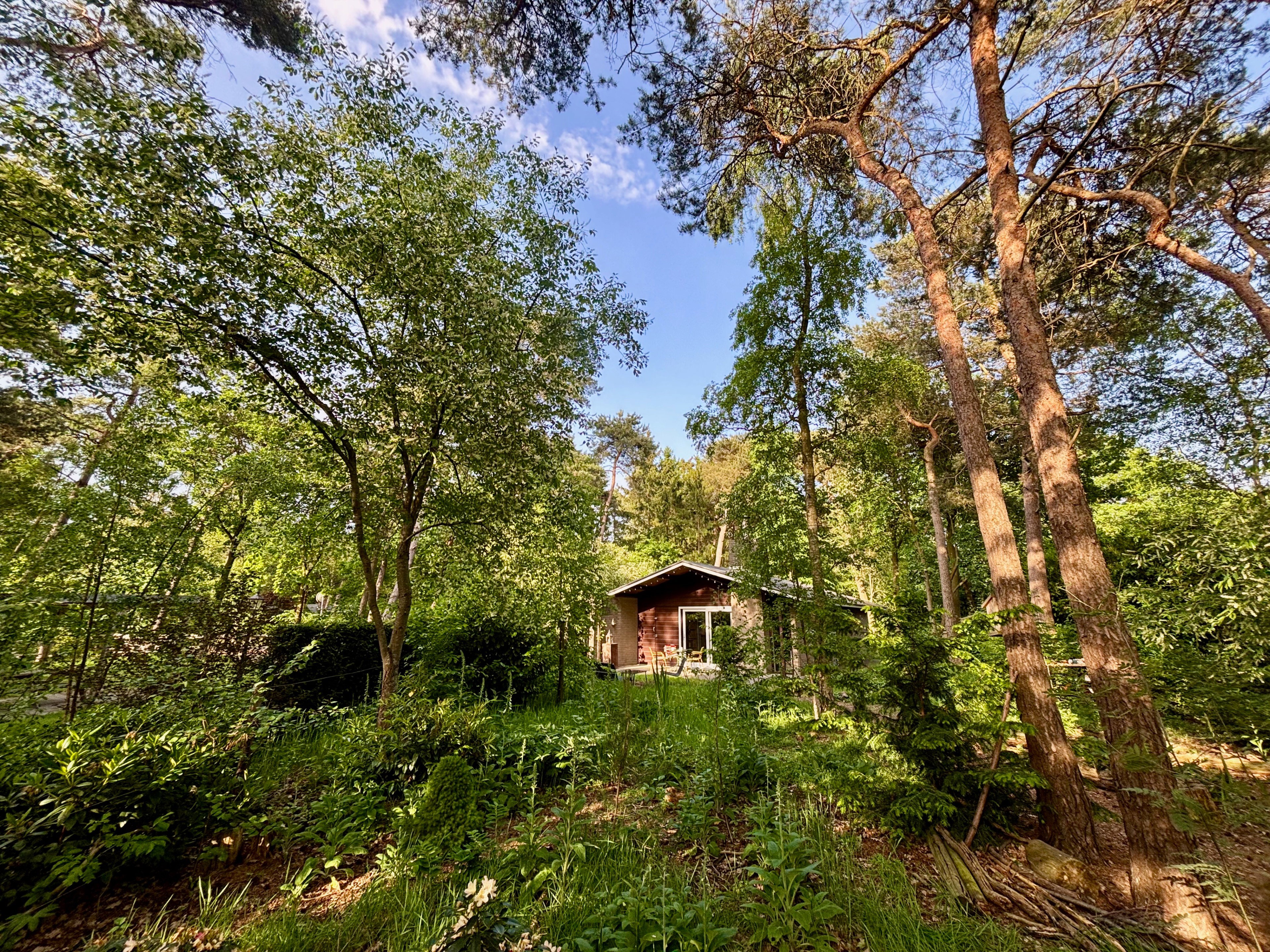 Natuurhuisje in Rheezerveen