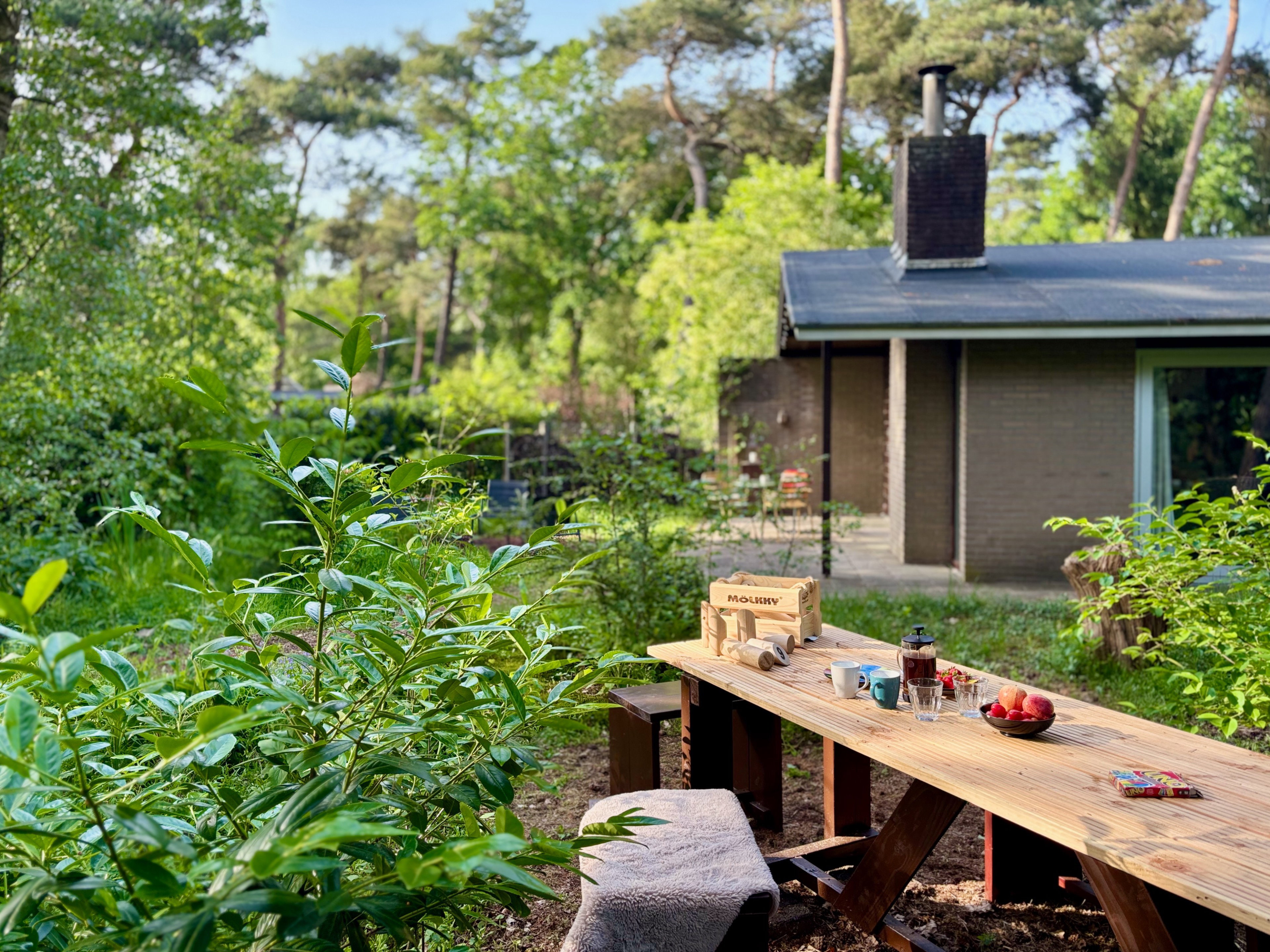Natuurhuisje in Rheezerveen