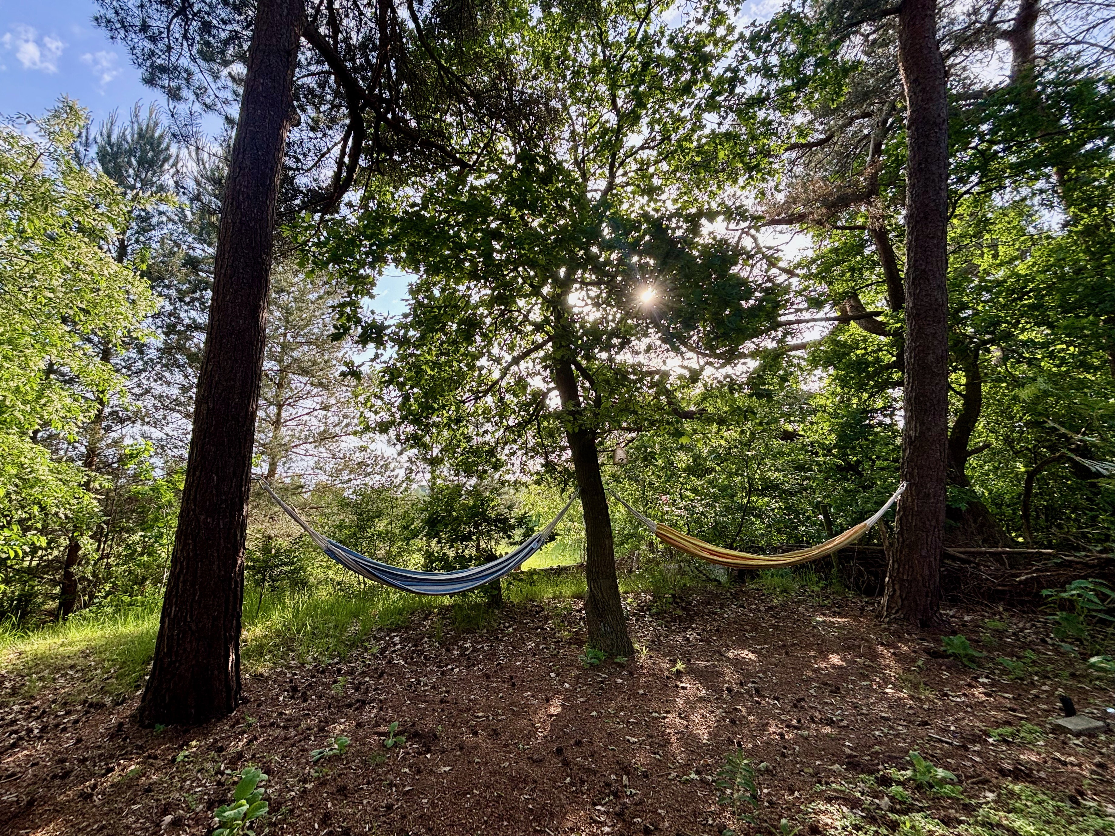 Natuurhuisje in Rheezerveen