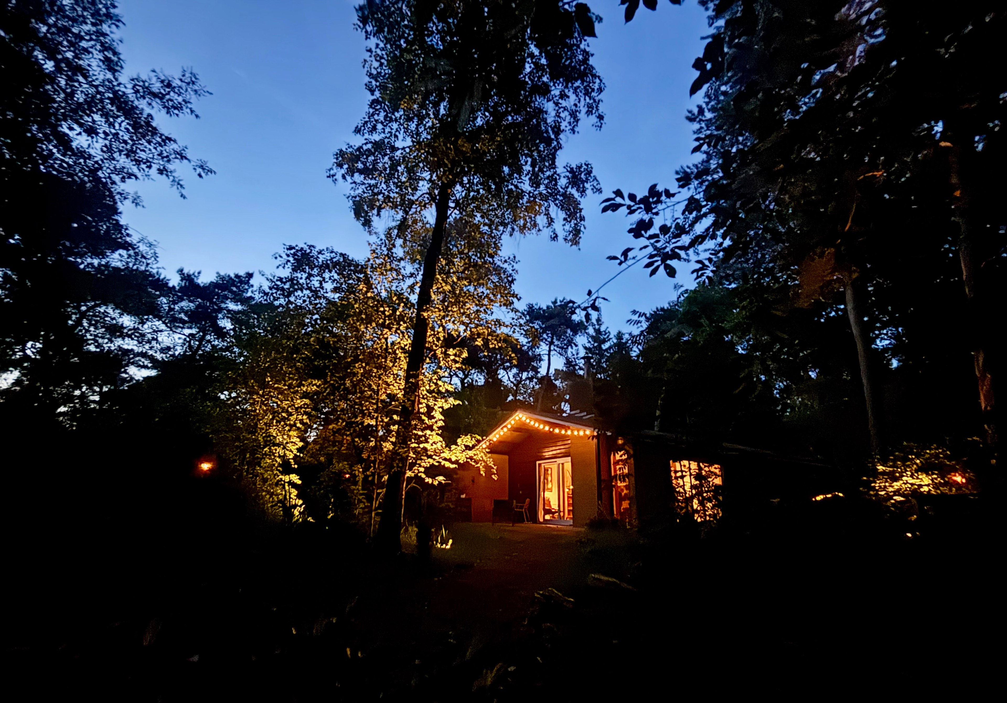 Natuurhuisje in Rheezerveen
