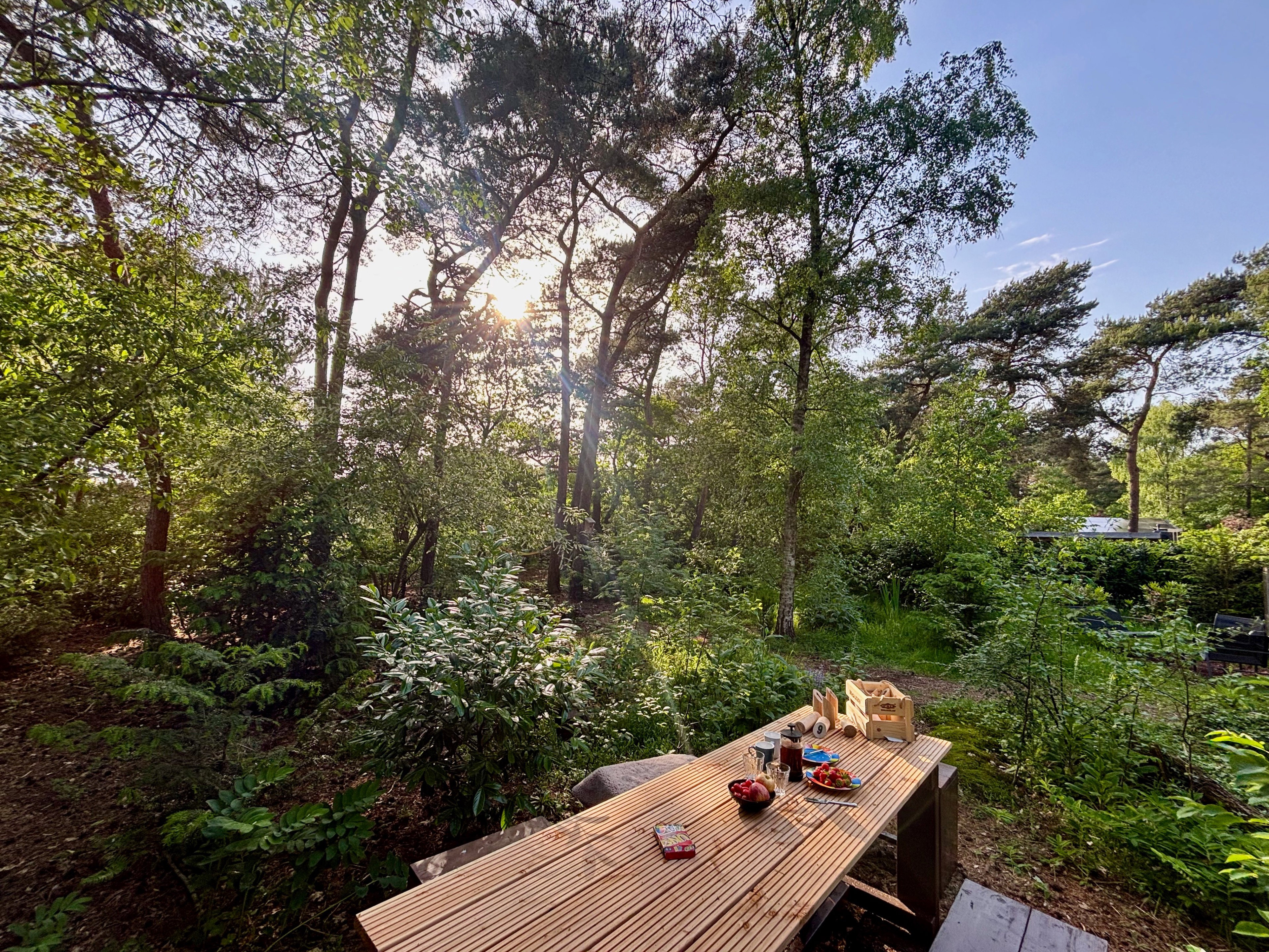 Natuurhuisje in Rheezerveen