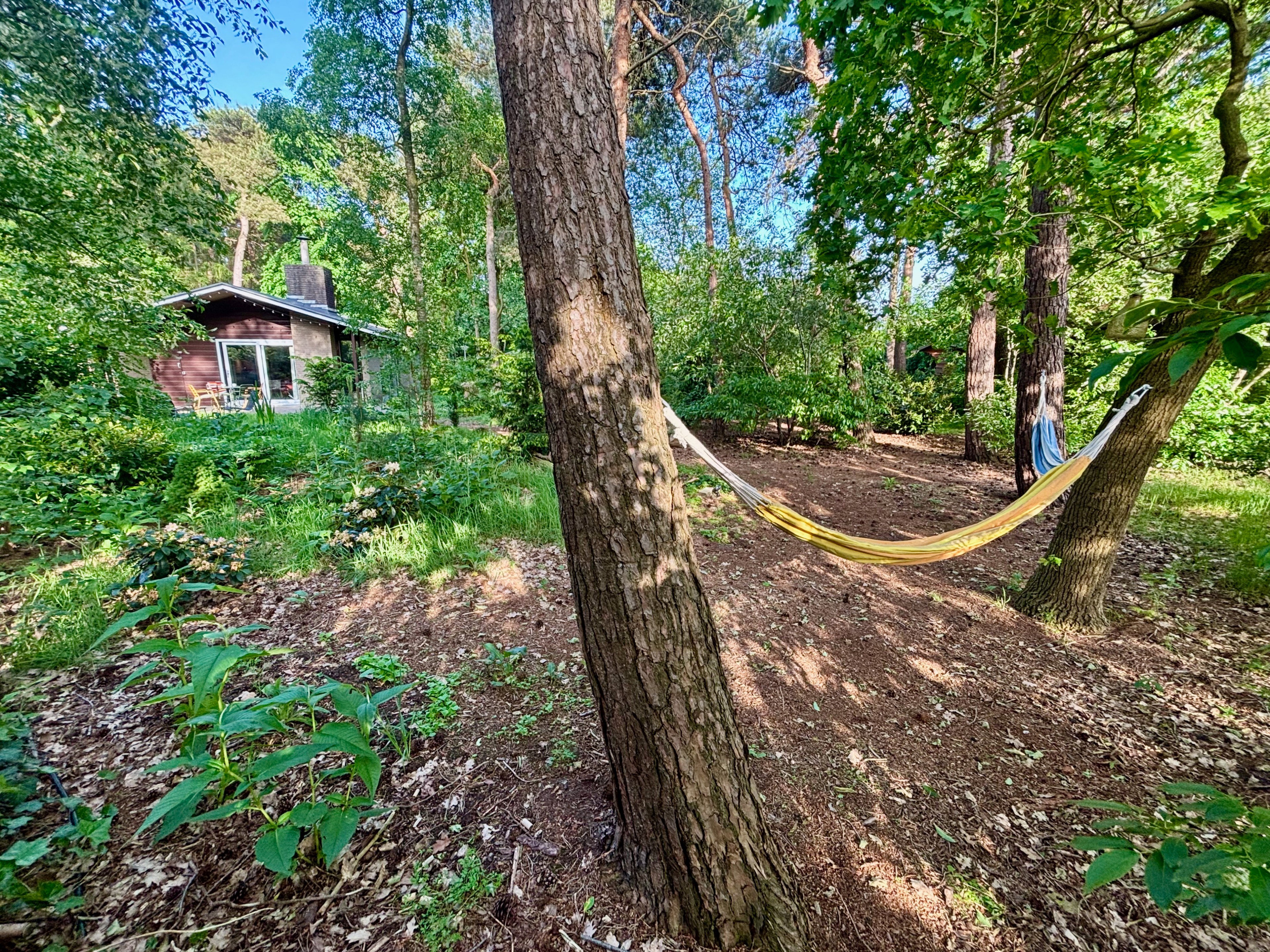 Natuurhuisje in Rheezerveen