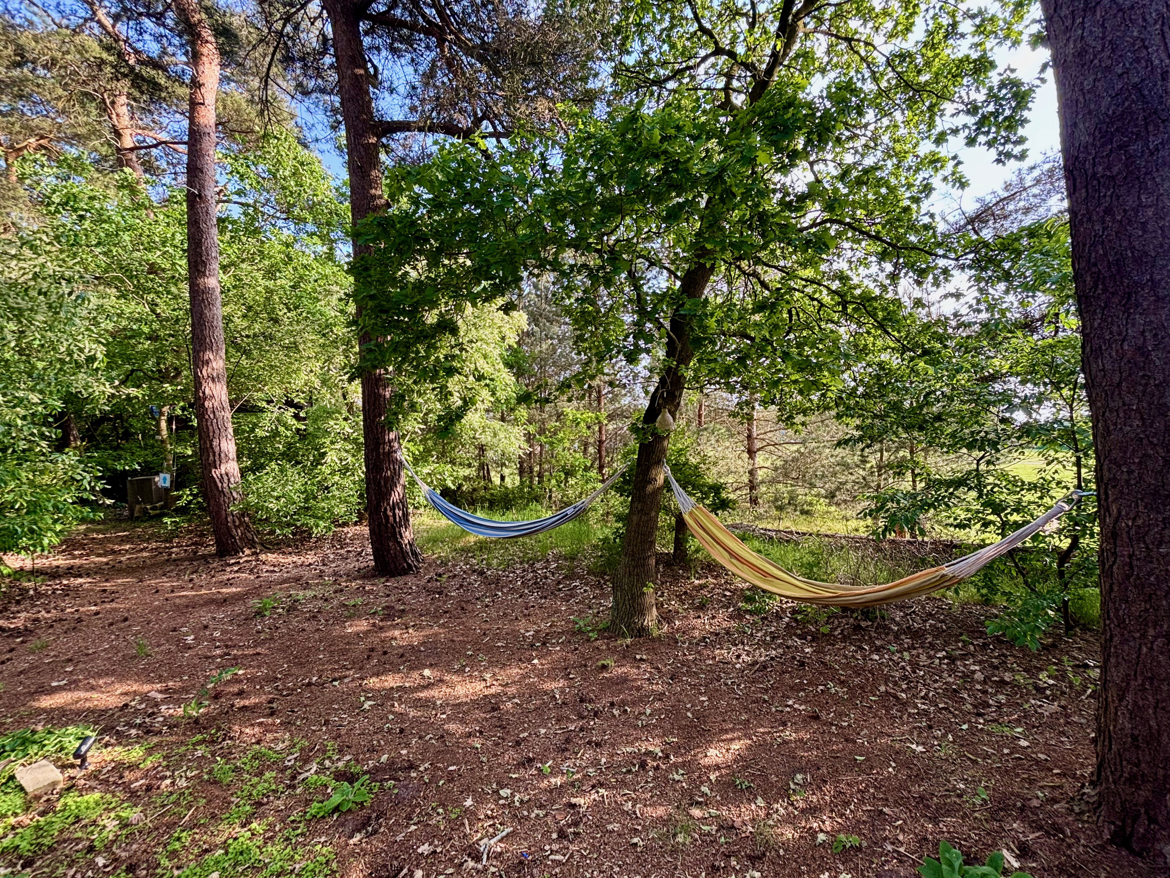 Natuurhuisje in Rheezerveen