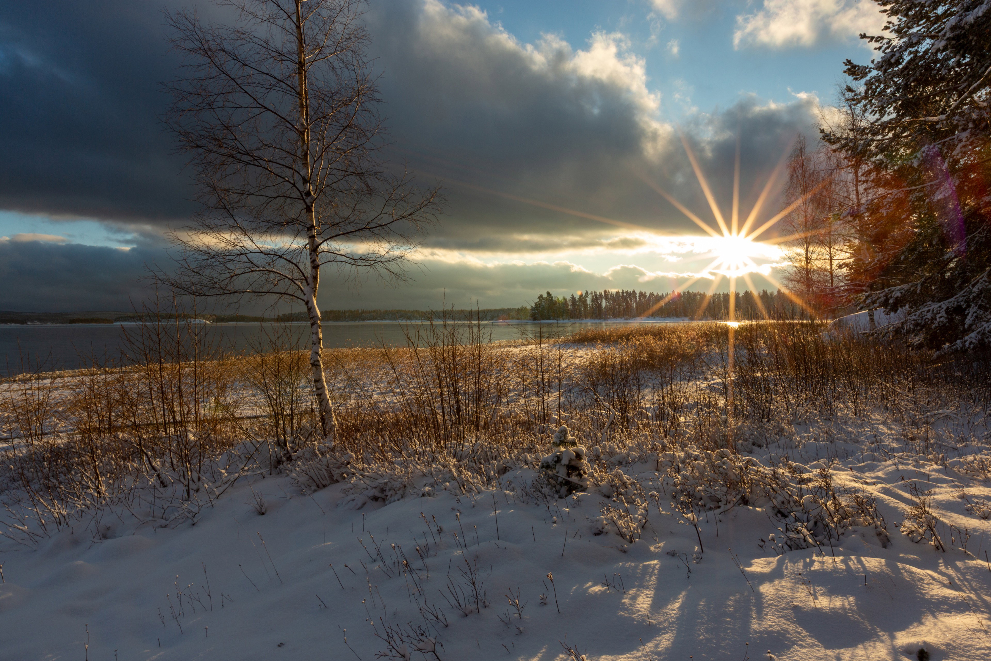 - image: 29
