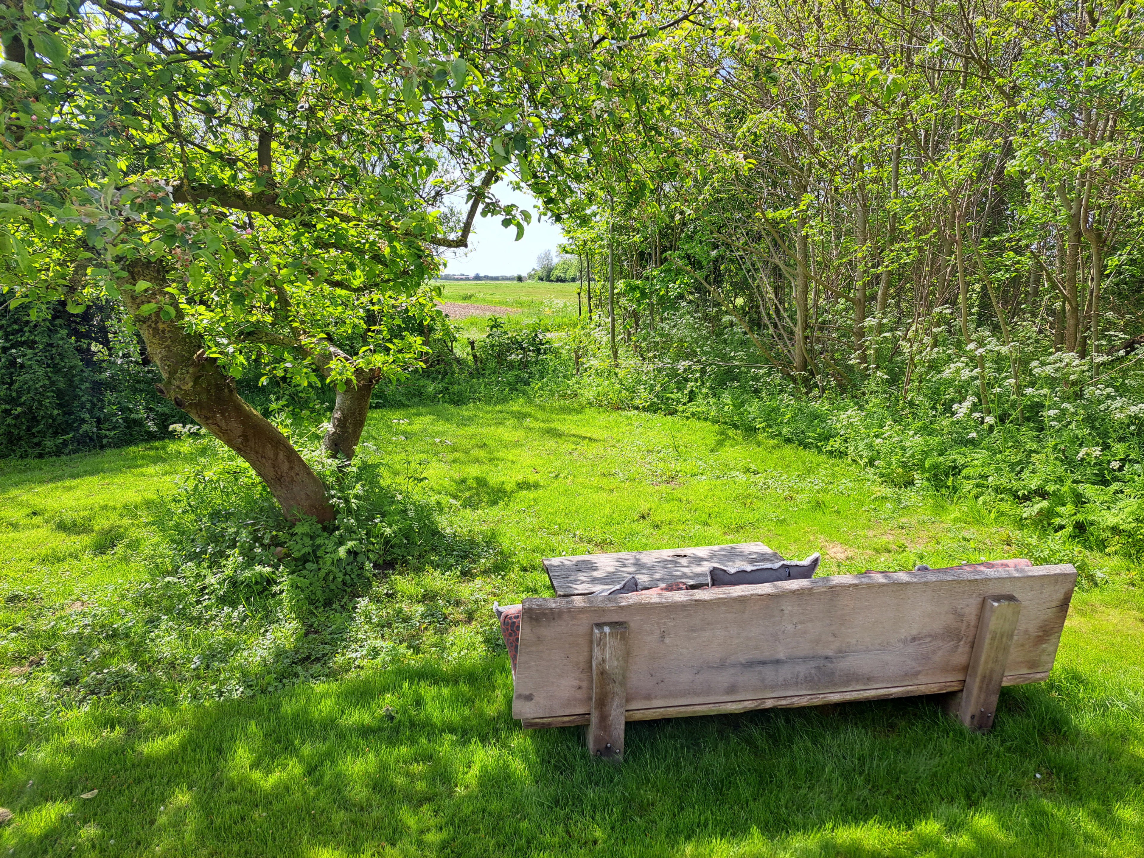 Casa nella natura a Oosterend