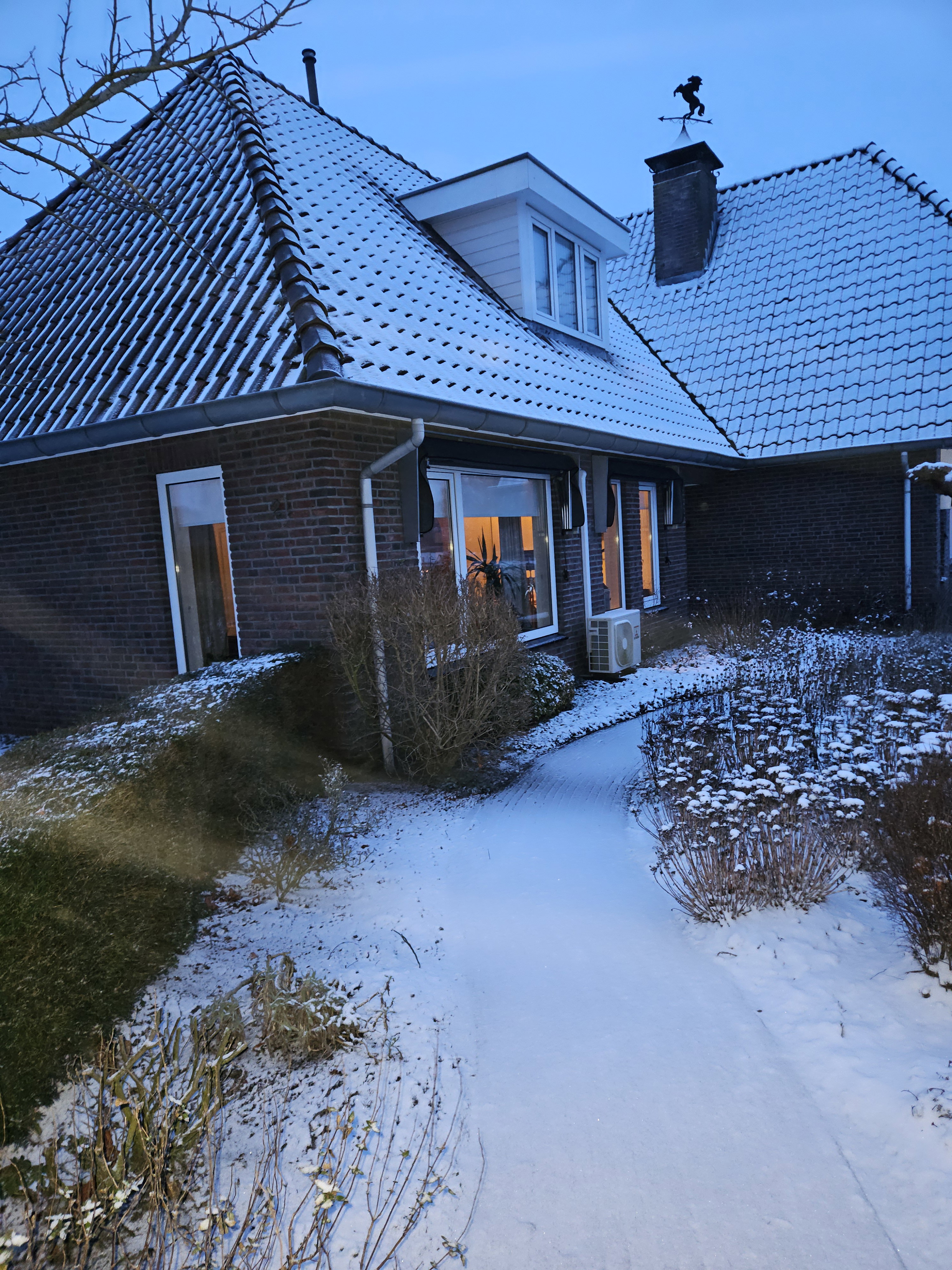 - image: 11