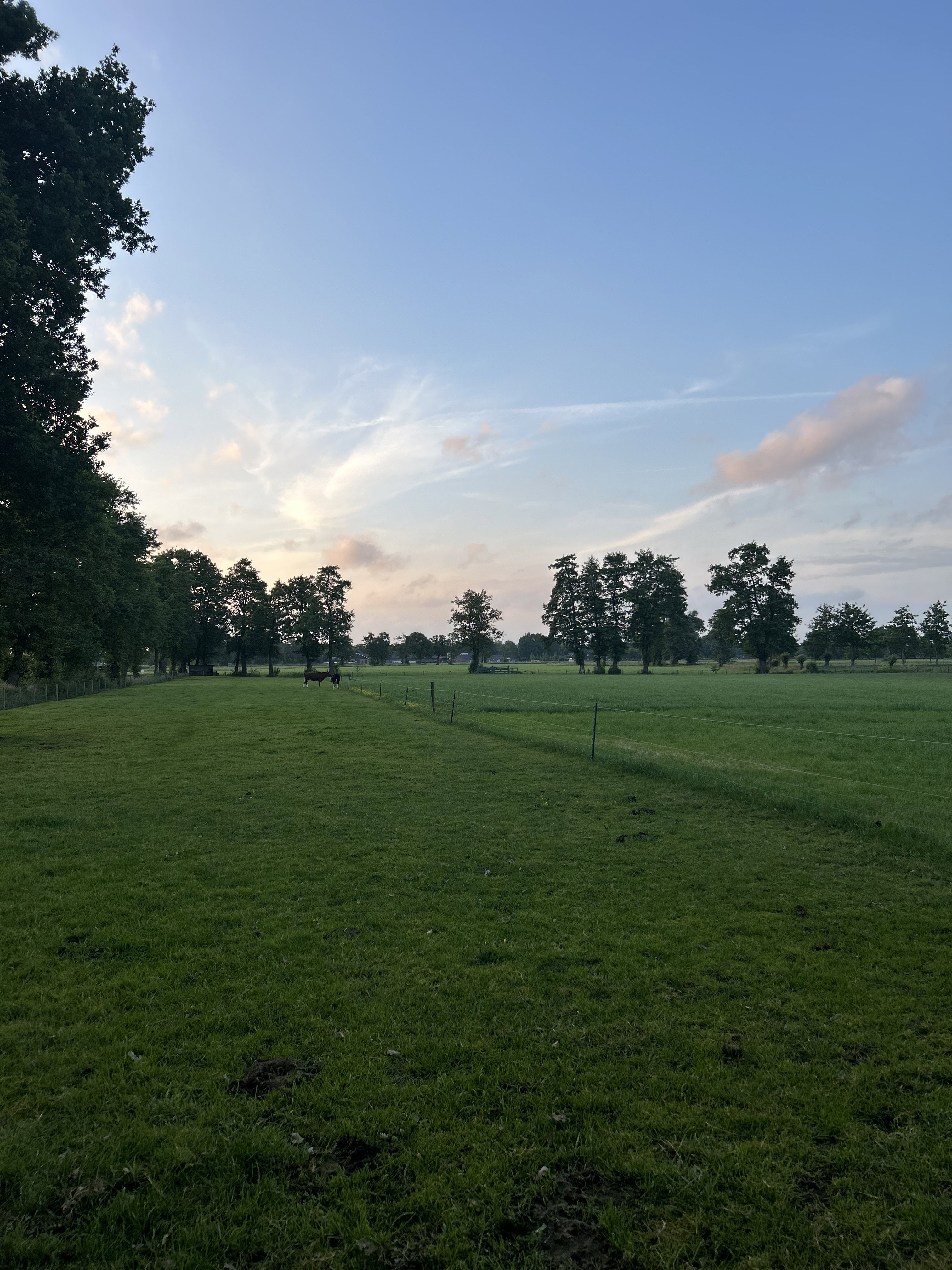 Naturhäuschen in Wekerom