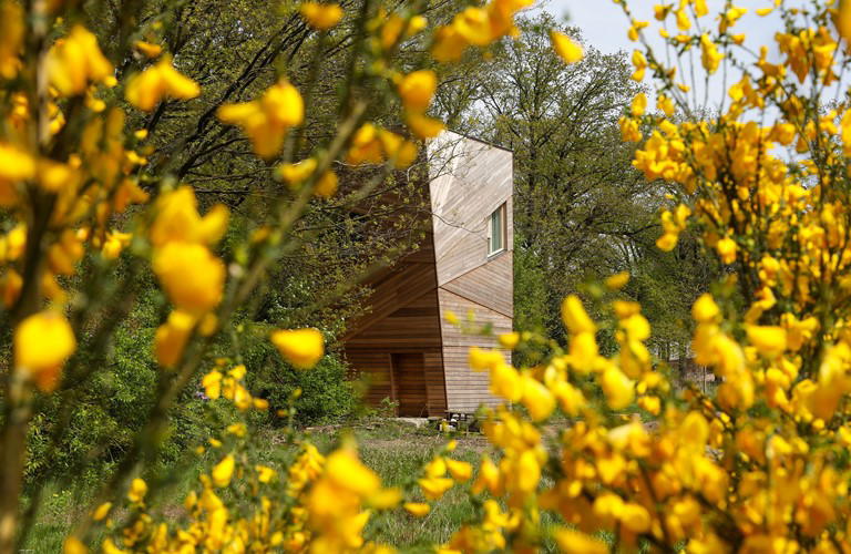 Nature house in Arnhem