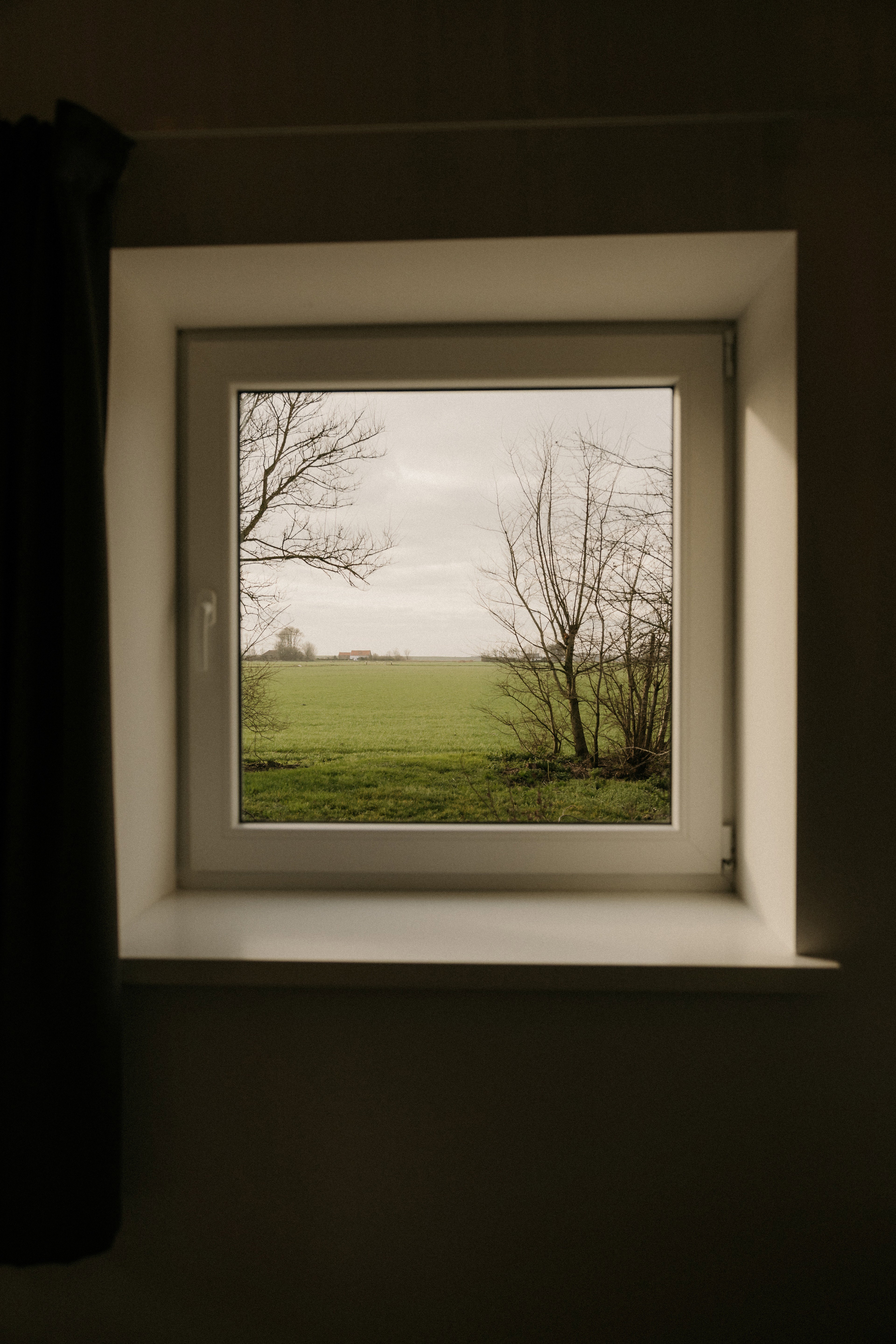 - image: 13
