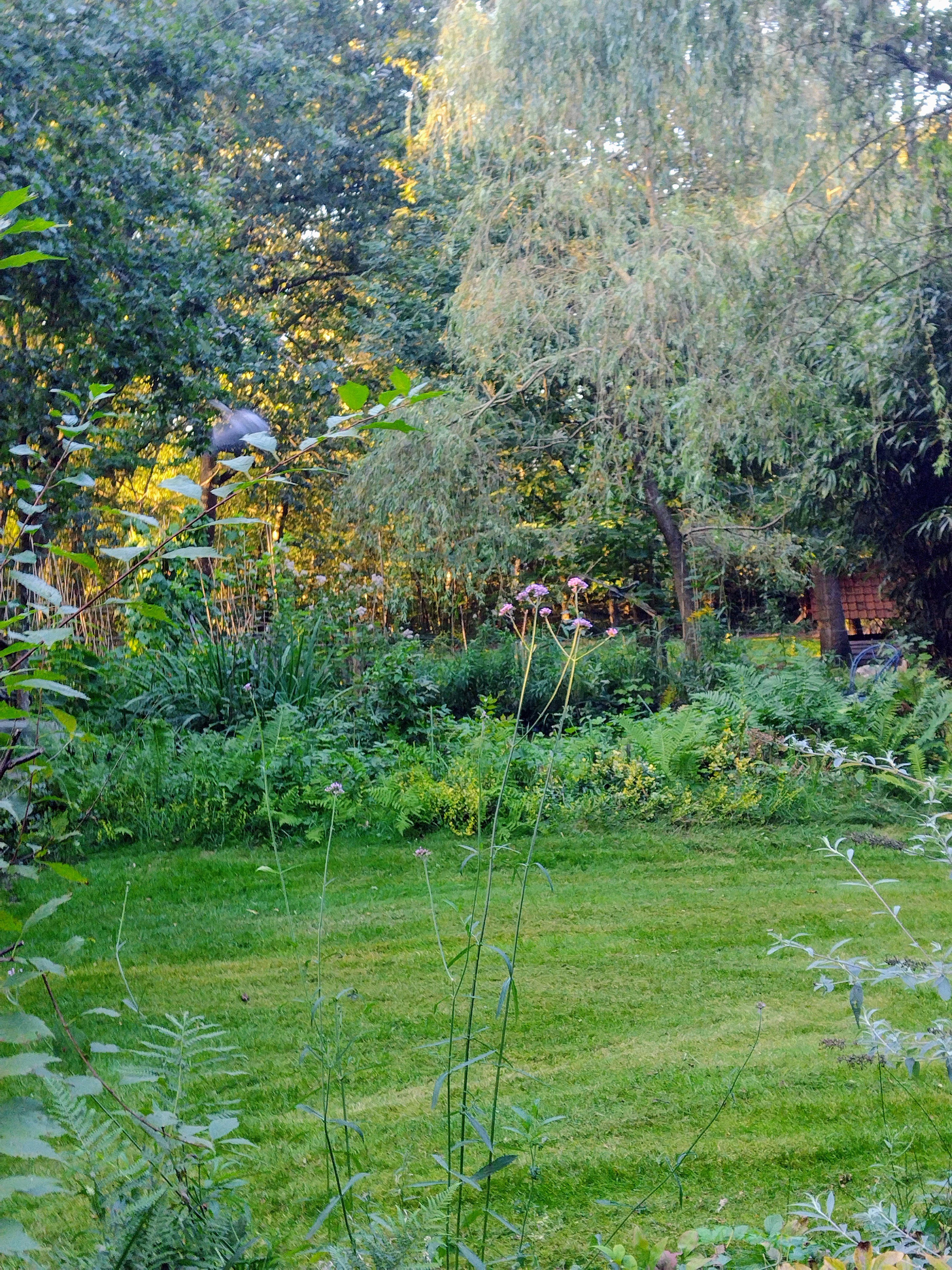 Natuurhuisje in Beekbergen