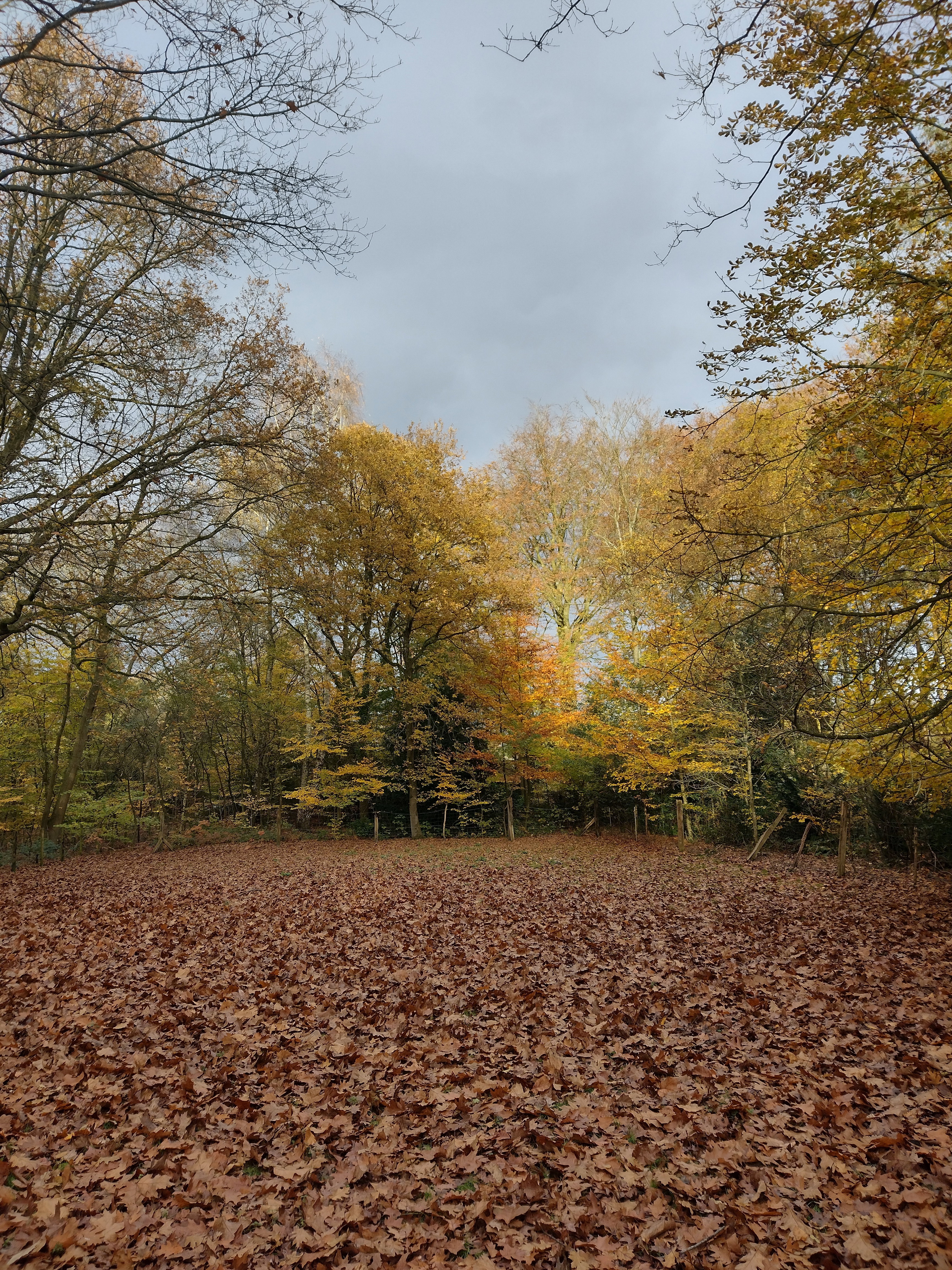 Natuurhuisje in Beekbergen
