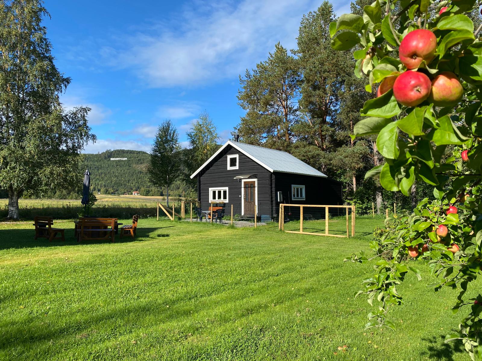 Natuurhuisje in Hammarstrand
