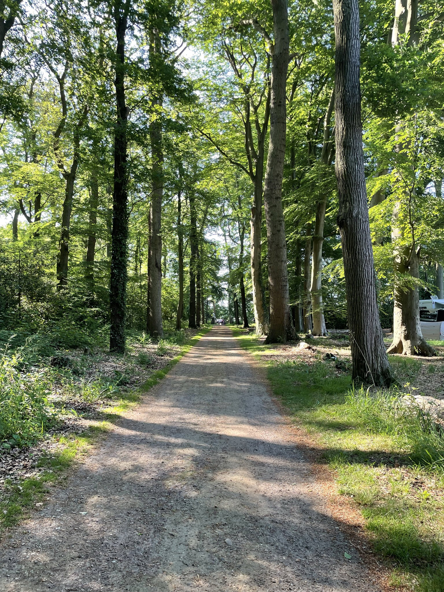 Casa nella natura a Vollenhove