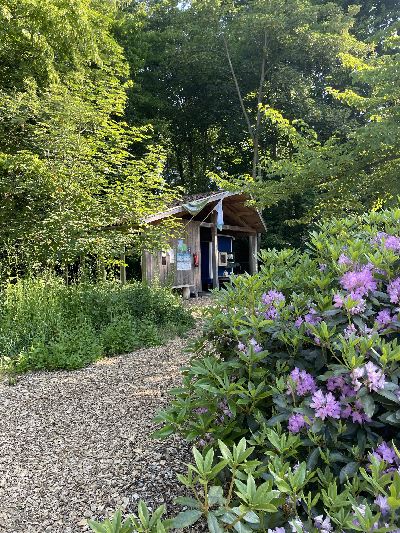 Casa nella natura a Vollenhove