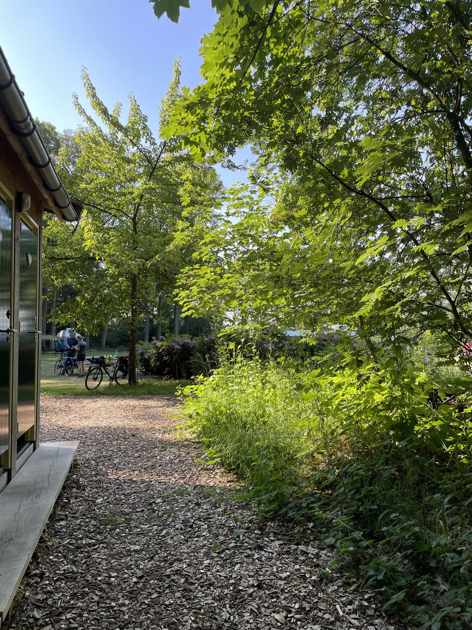 Casa nella natura a Vollenhove