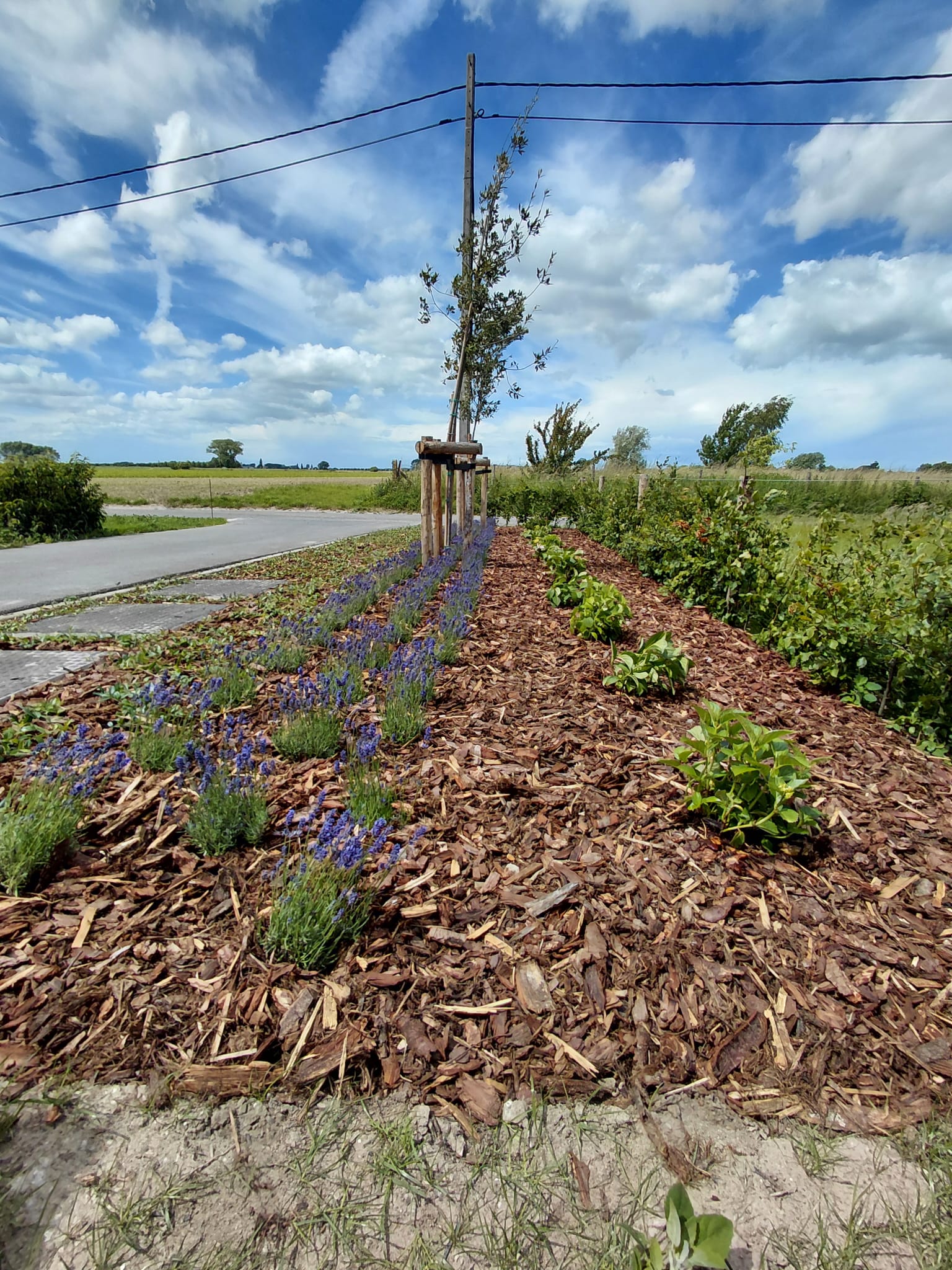 Natuurhuisje in Veurne