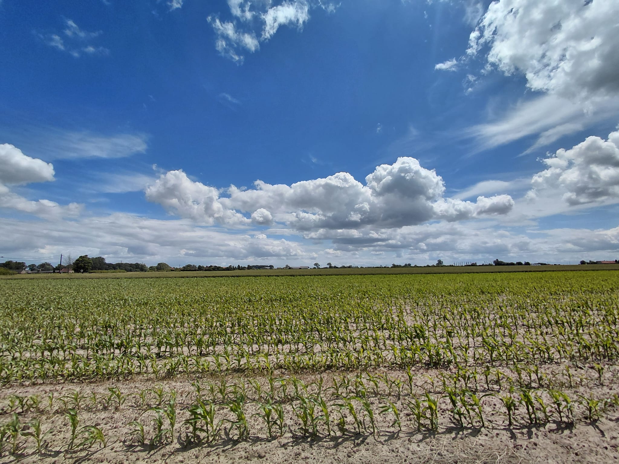 Natuurhuisje in Veurne