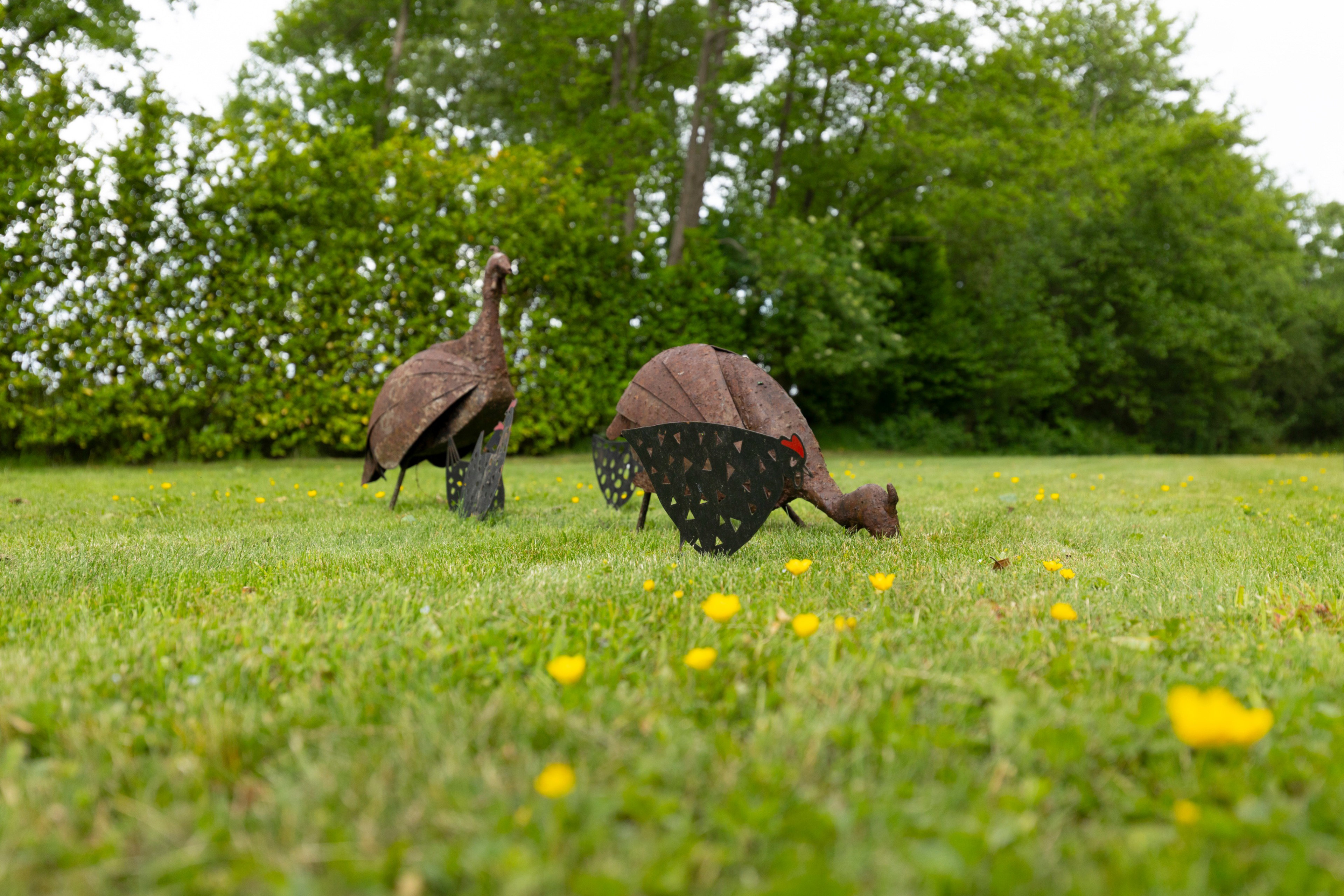 Naturhäuschen in Ruurlo
