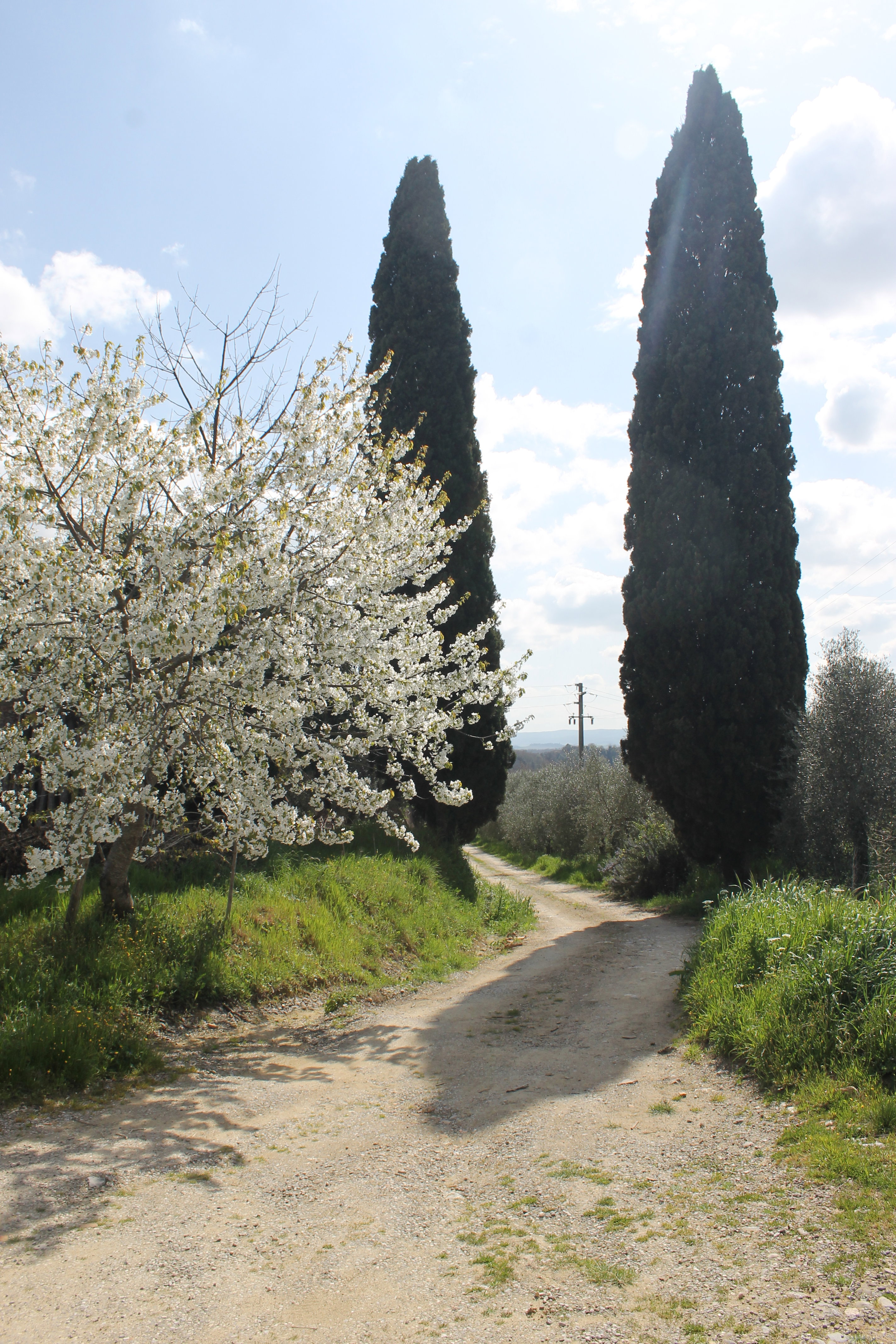 Casa nella natura a Castelnuovo Berardenga
