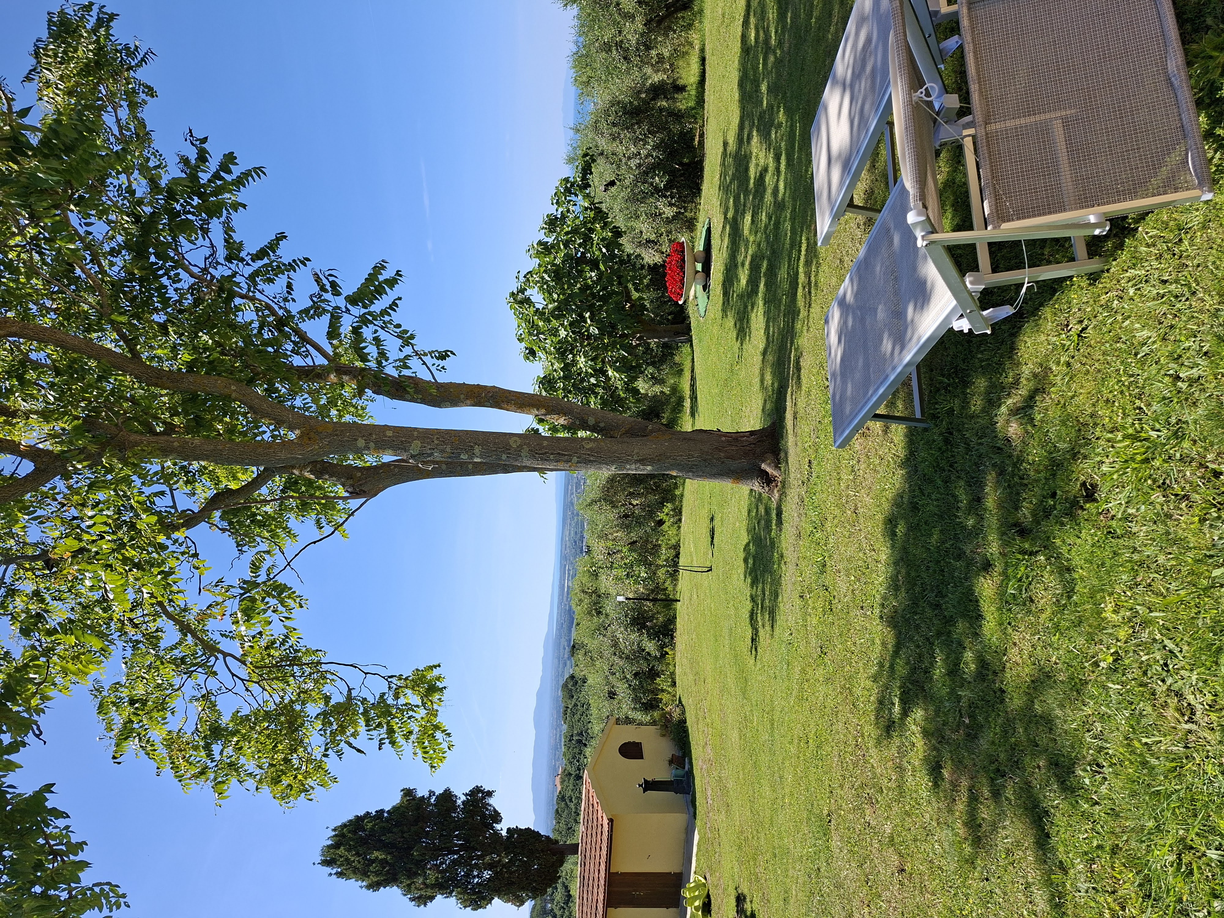 Naturhäuschen in Rosignano Marittimo
