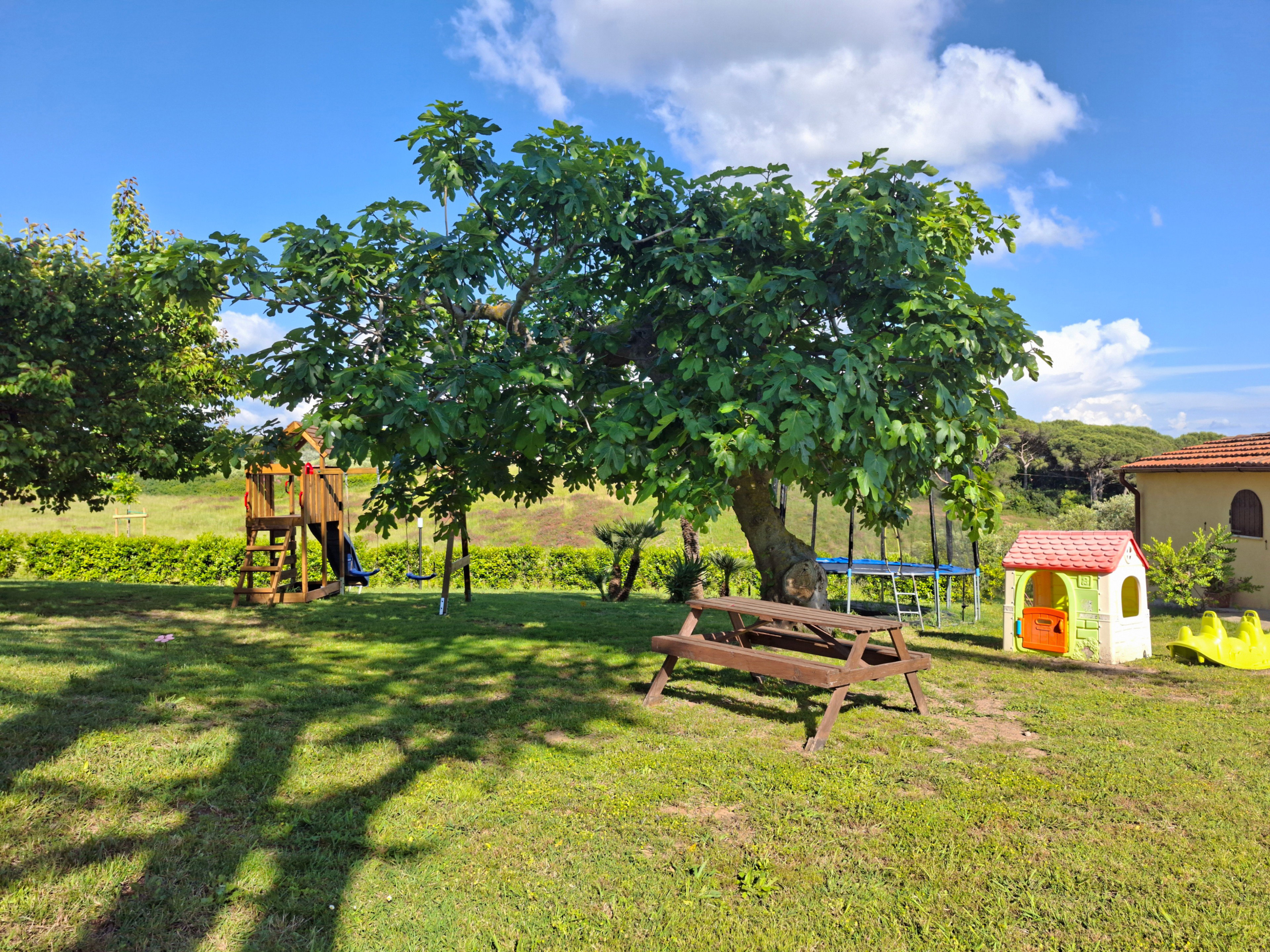 Naturhäuschen in Rosignano Marittimo