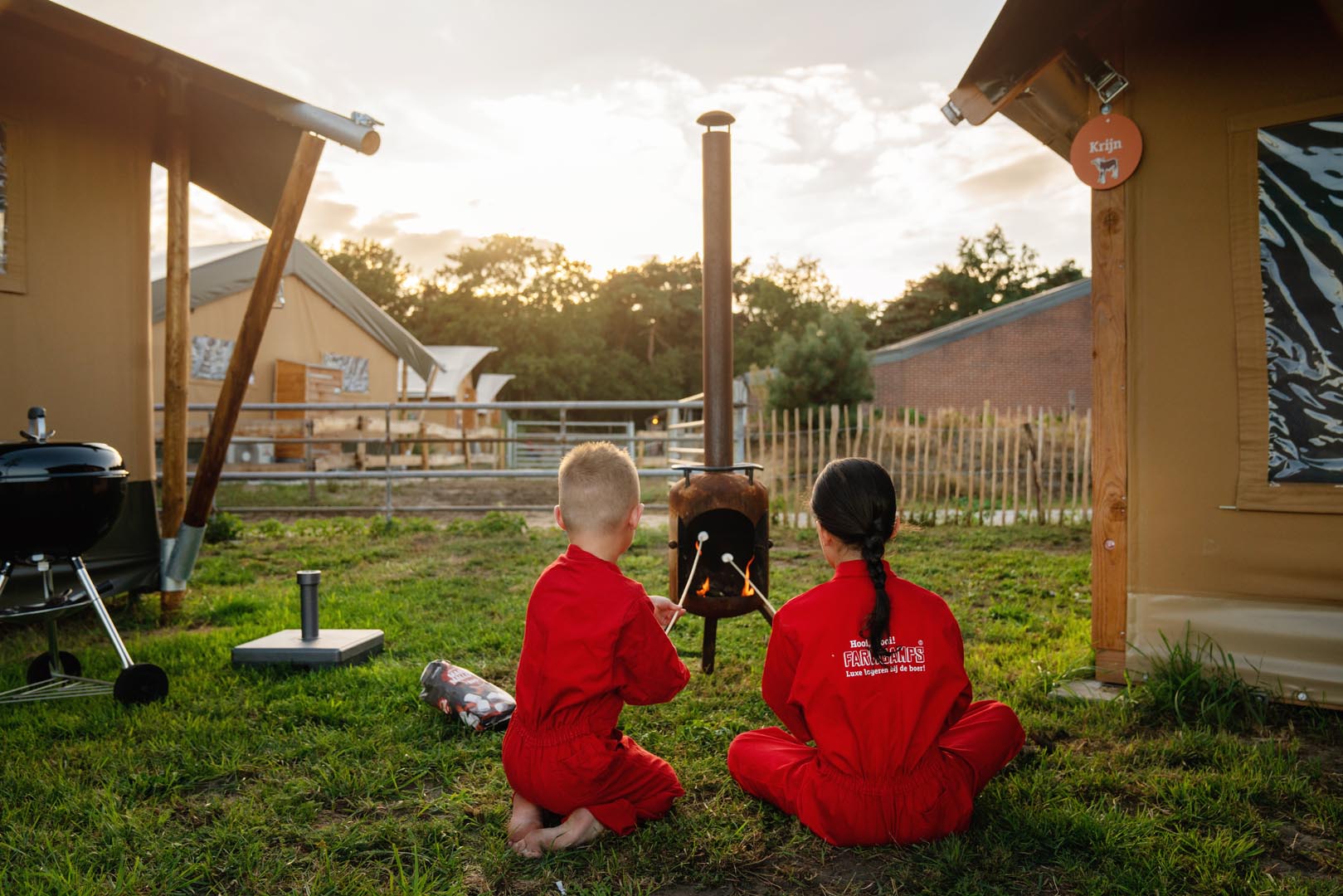 - image: 13