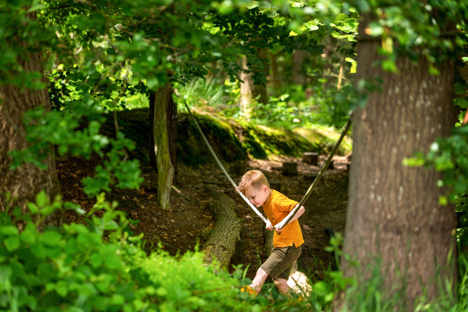 Natuurhuisje in Oldewoltholde