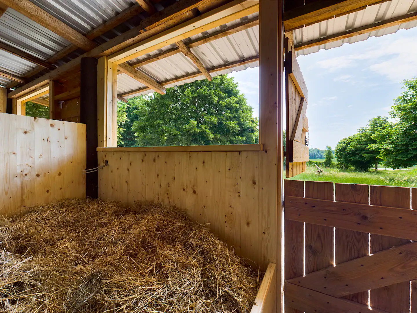 Casa nella natura a Burow