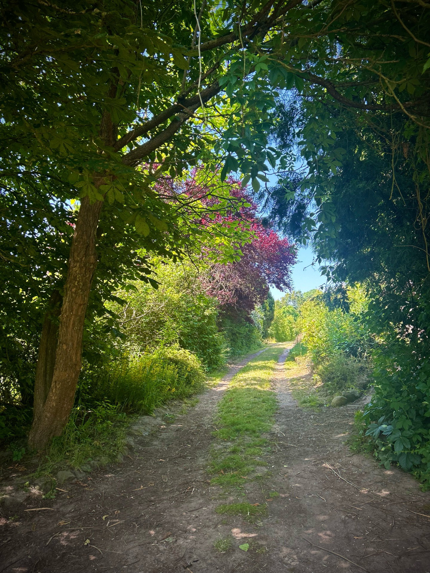 Casa nella natura a Burow