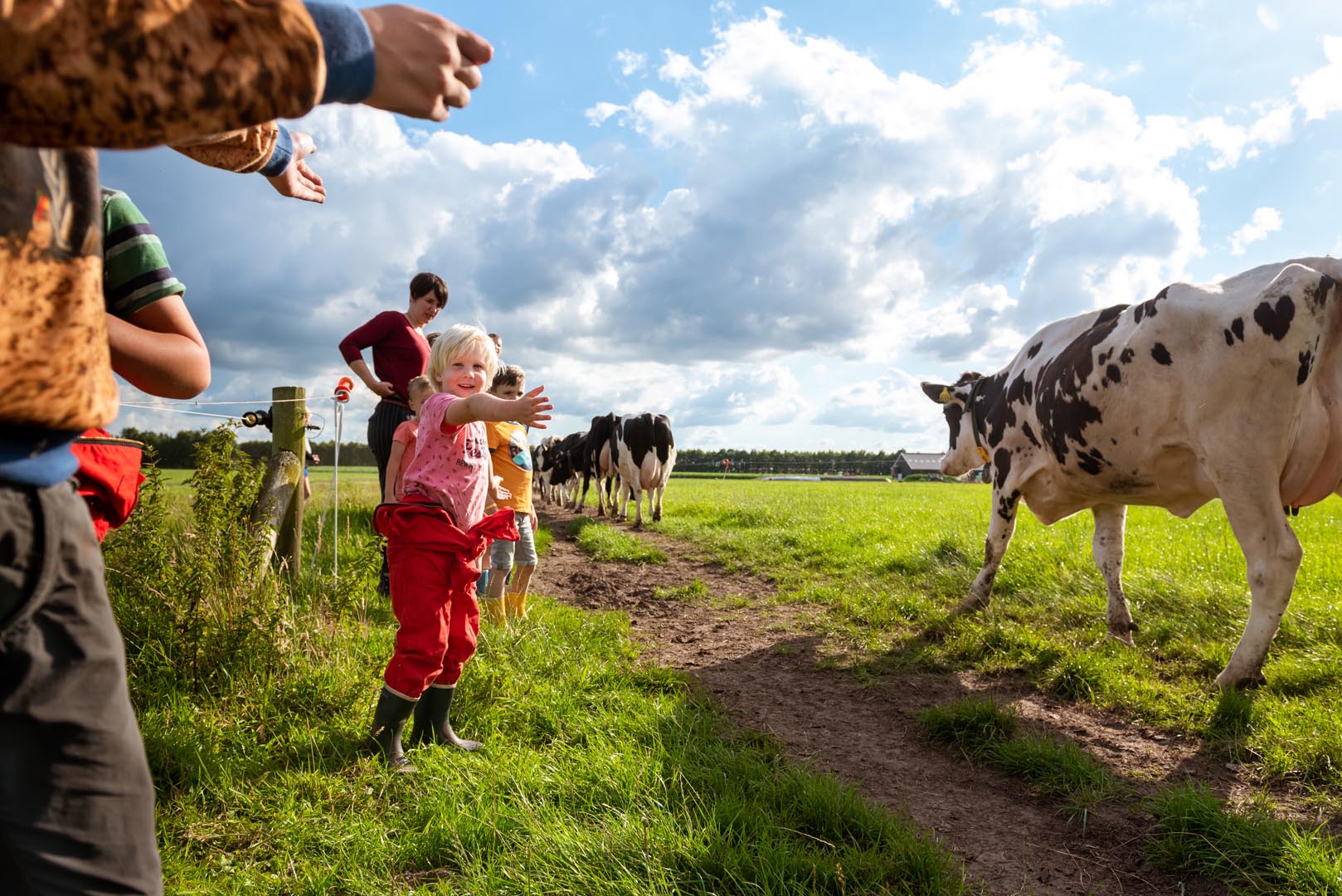 Natuurhuisje in Zweeloo