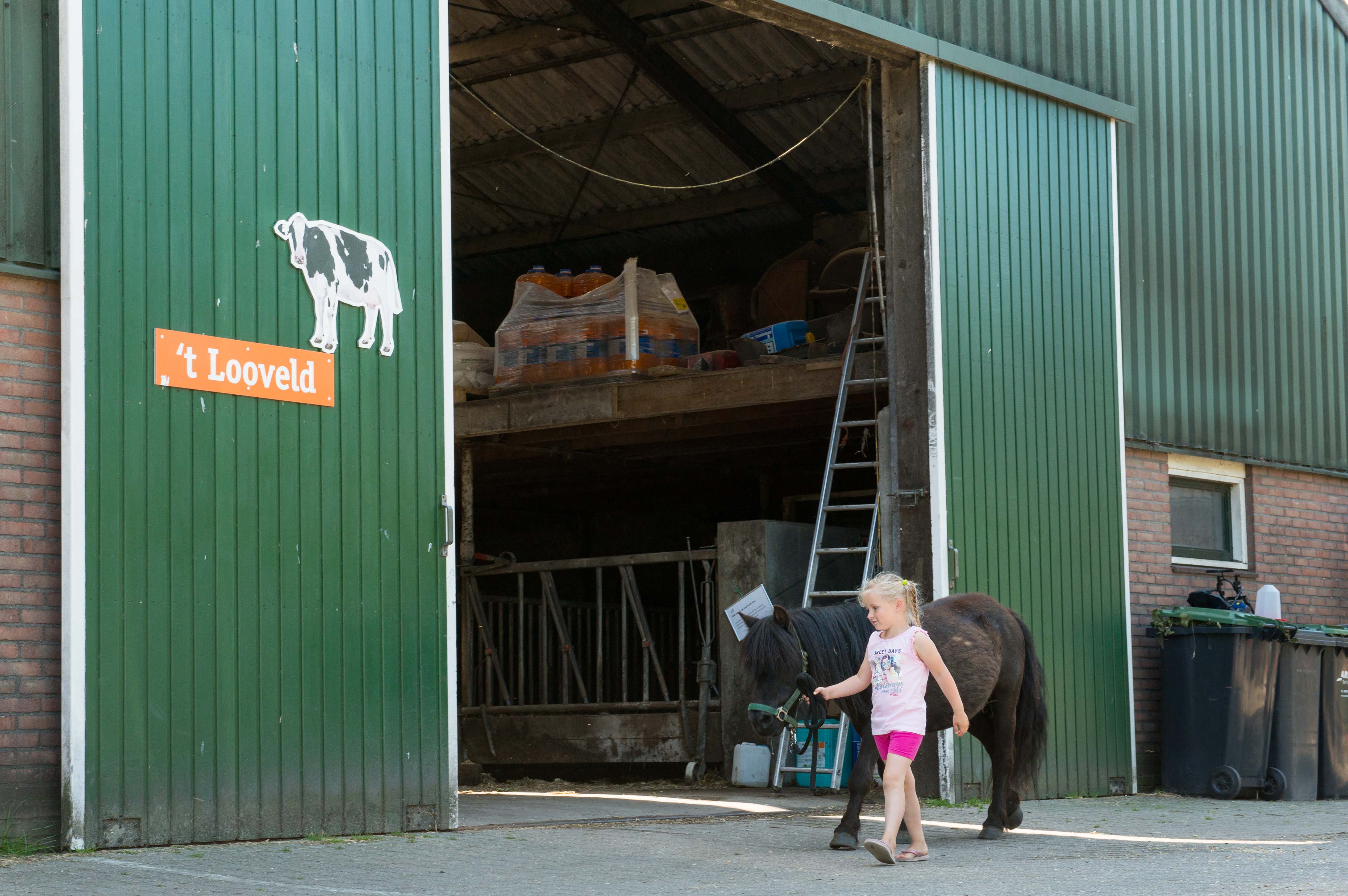 Natuurhuisje in Zweeloo