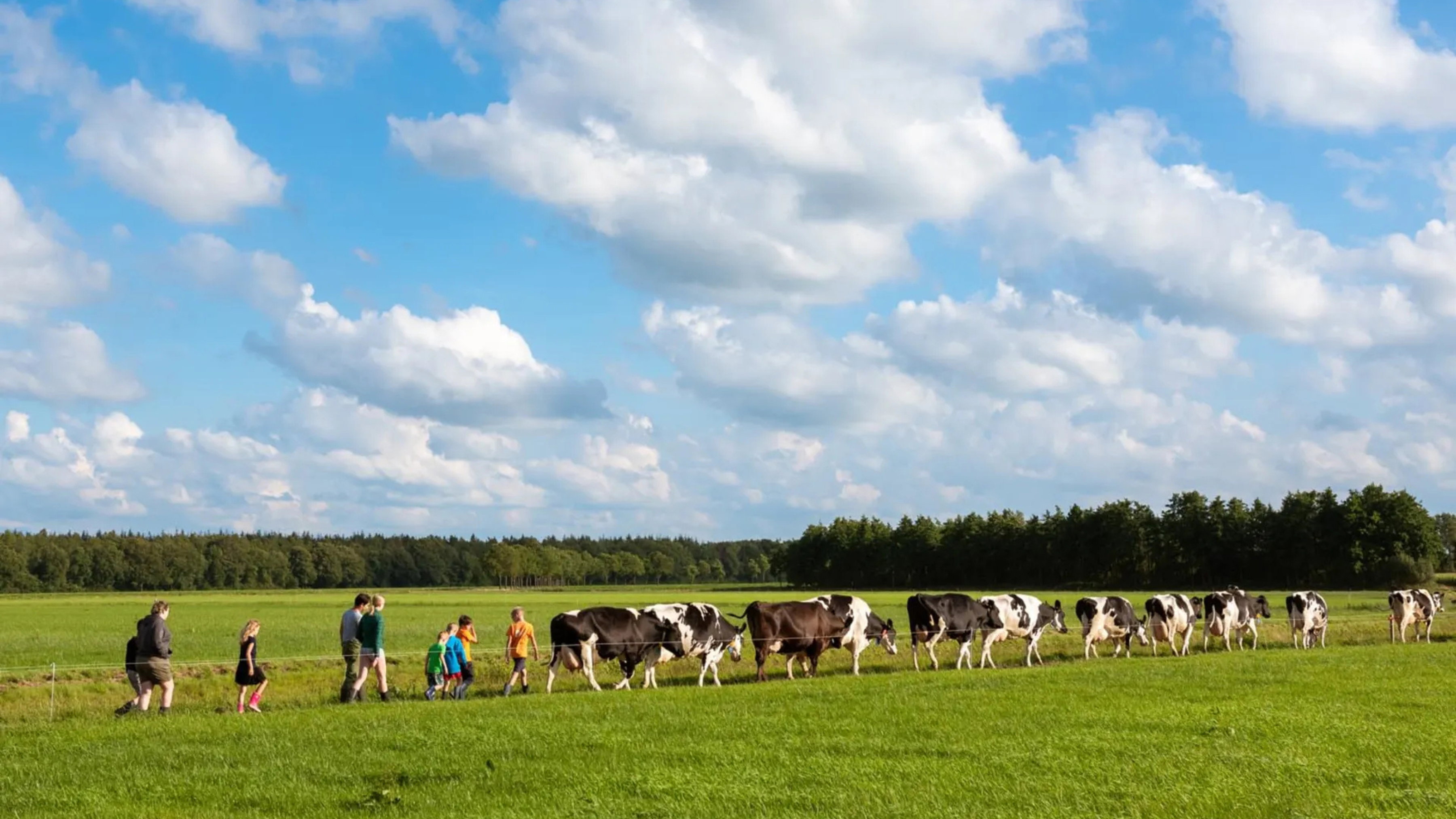 Natuurhuisje in Zweeloo