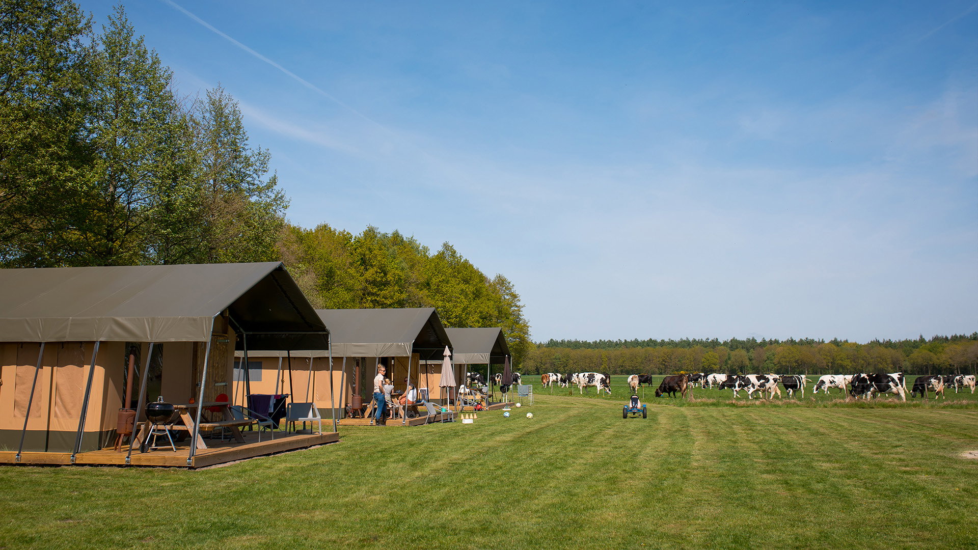 Natuurhuisje in Zweeloo