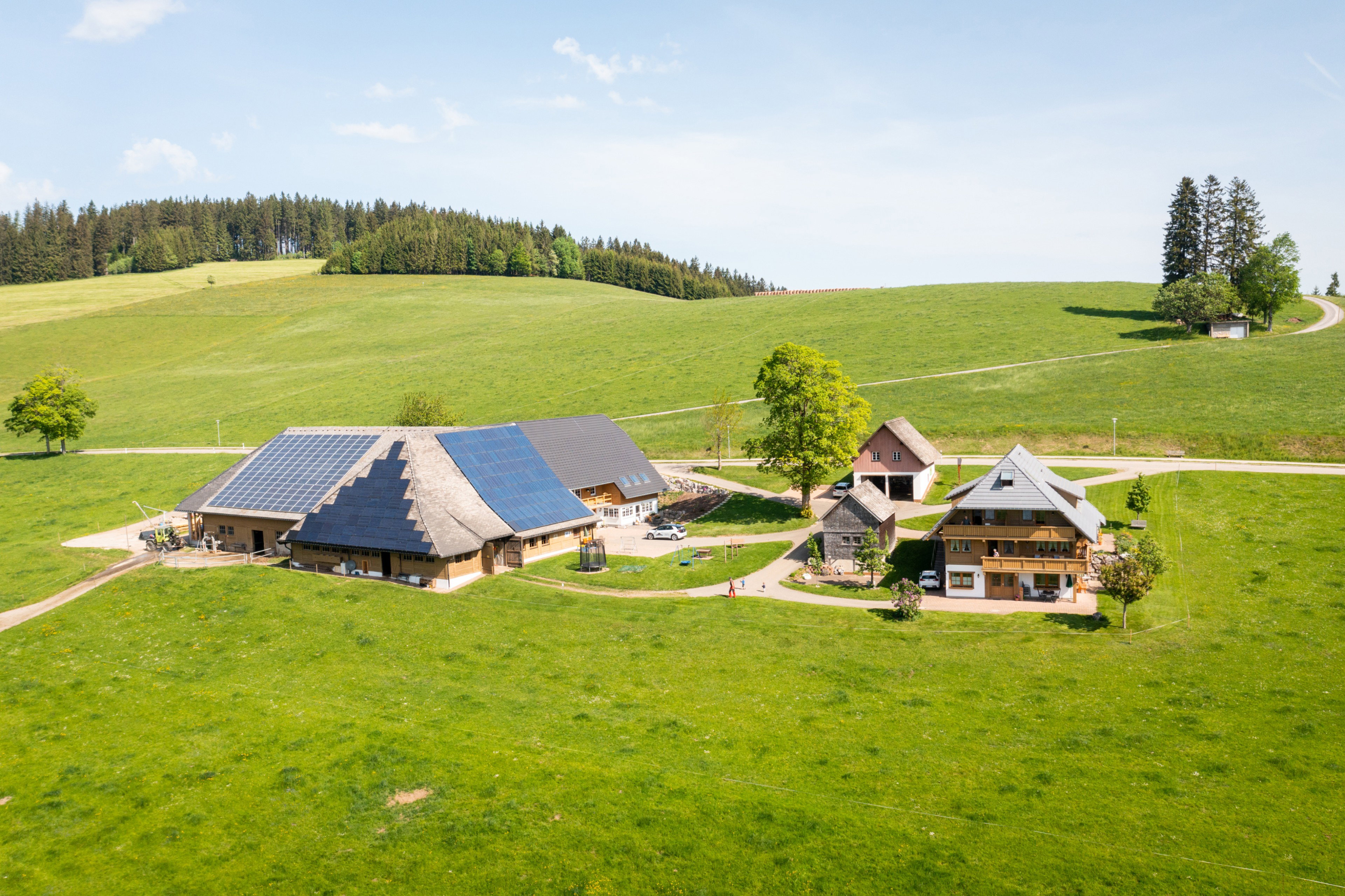 Natuurhuisje in Breitnau