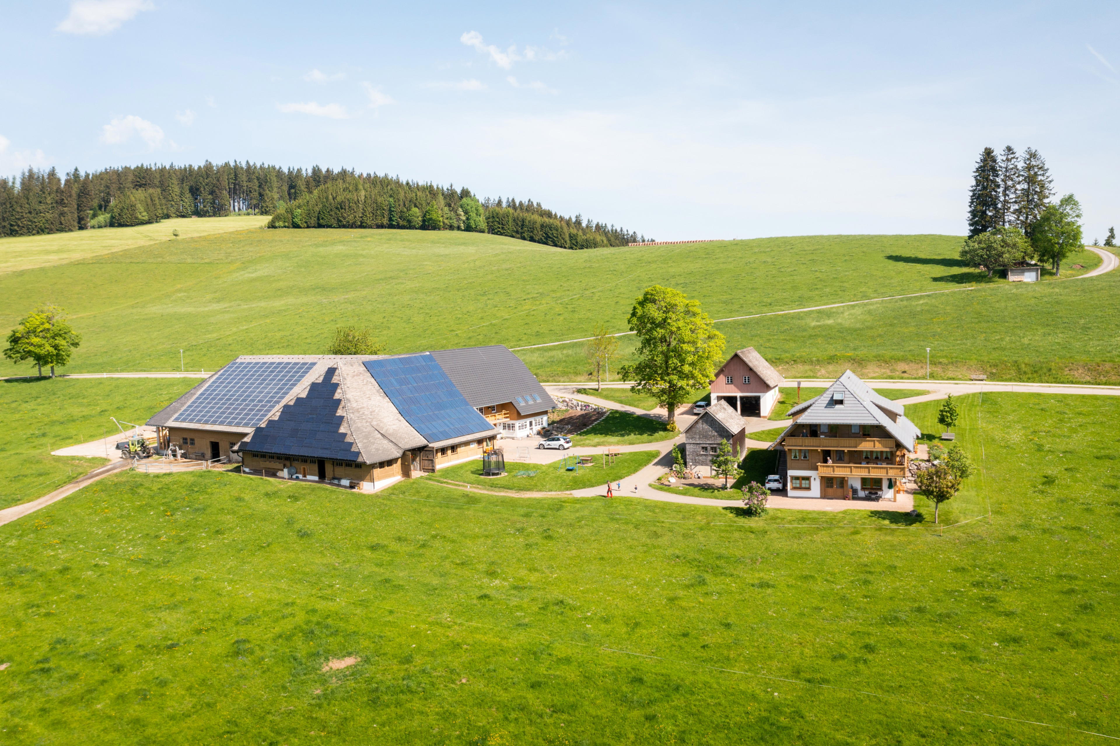 Natuurhuisje in Breitnau