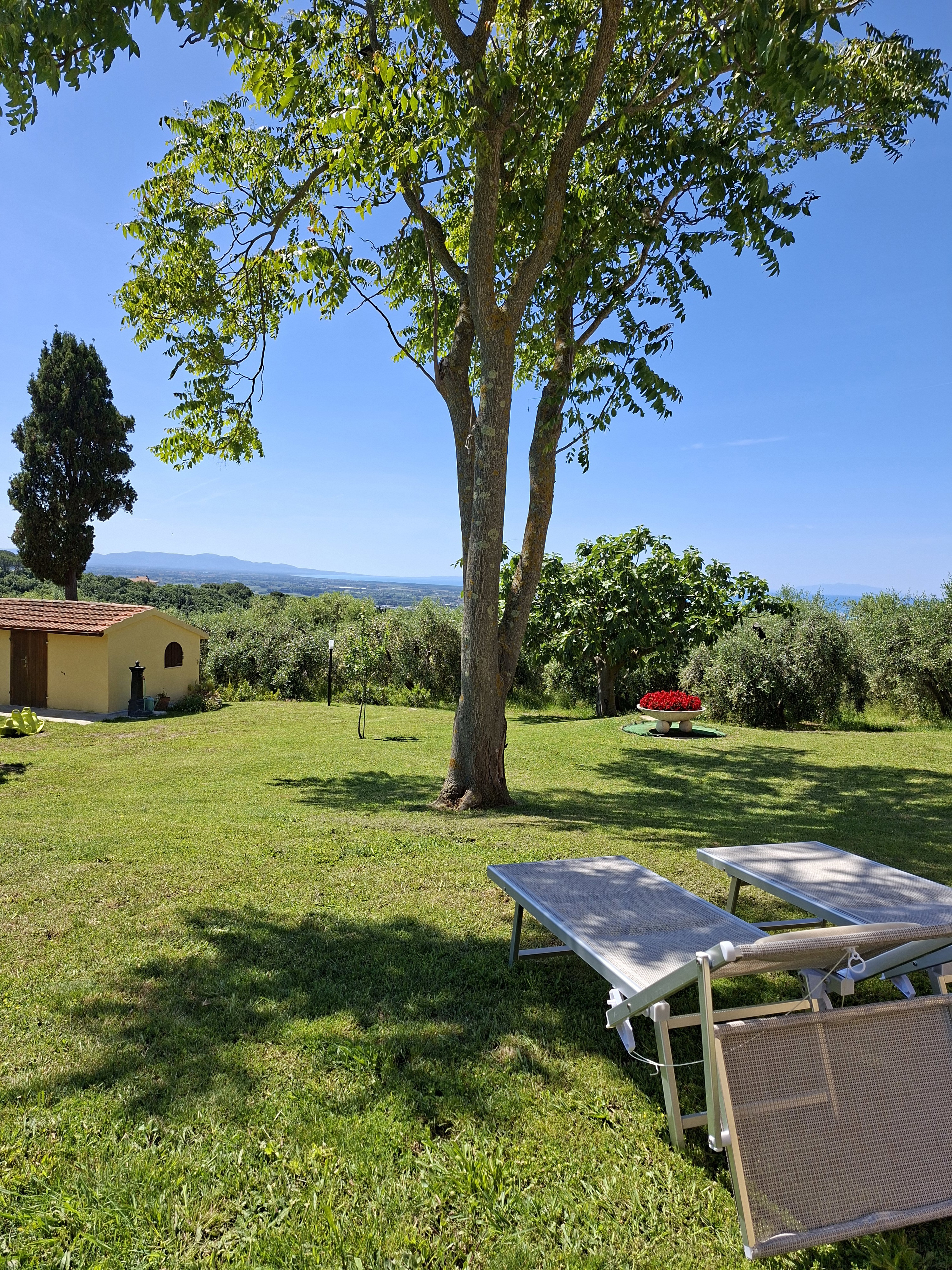 Naturhäuschen in Rosignano Marittimo