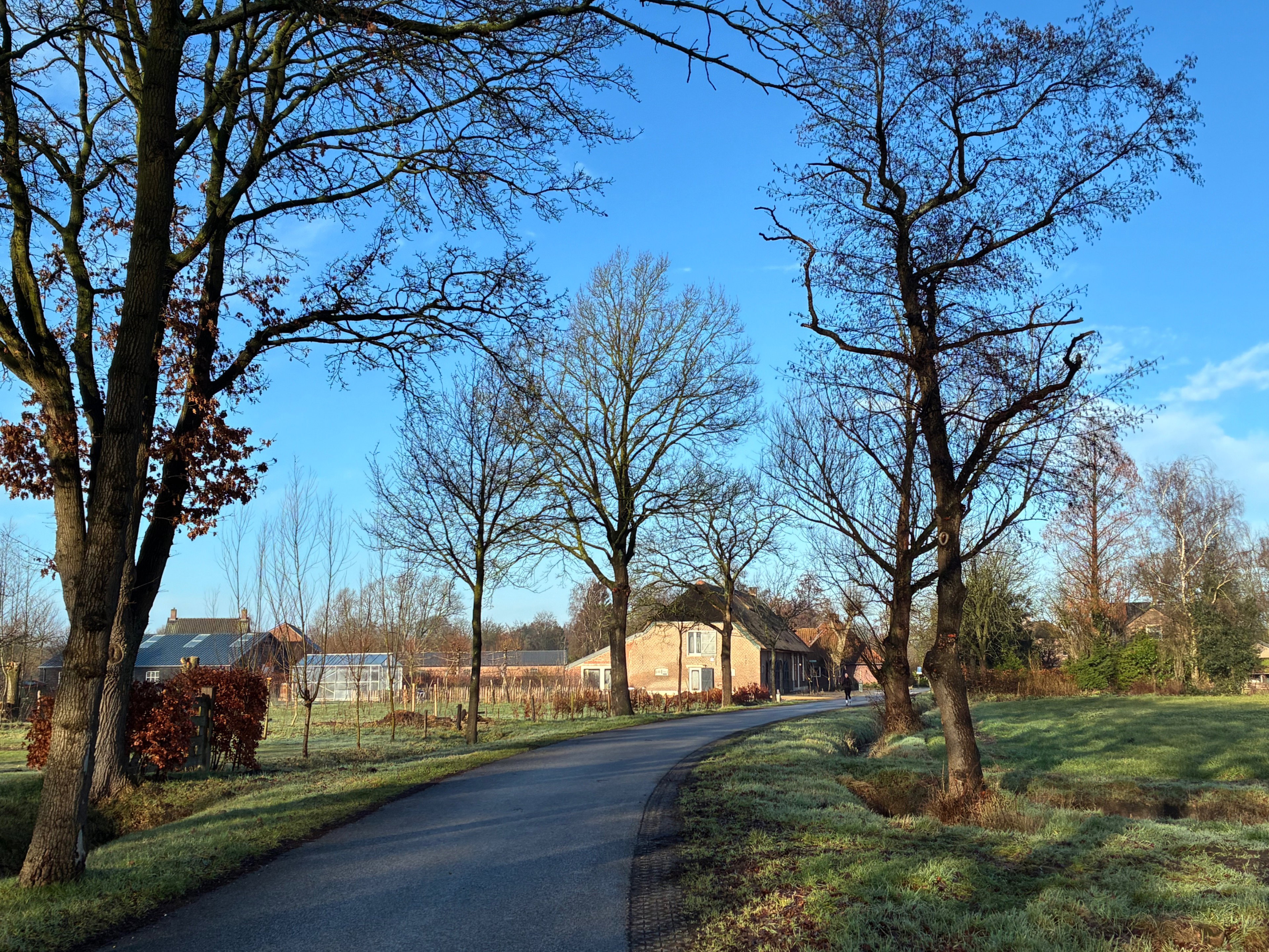 Naturhäuschen in Chaam