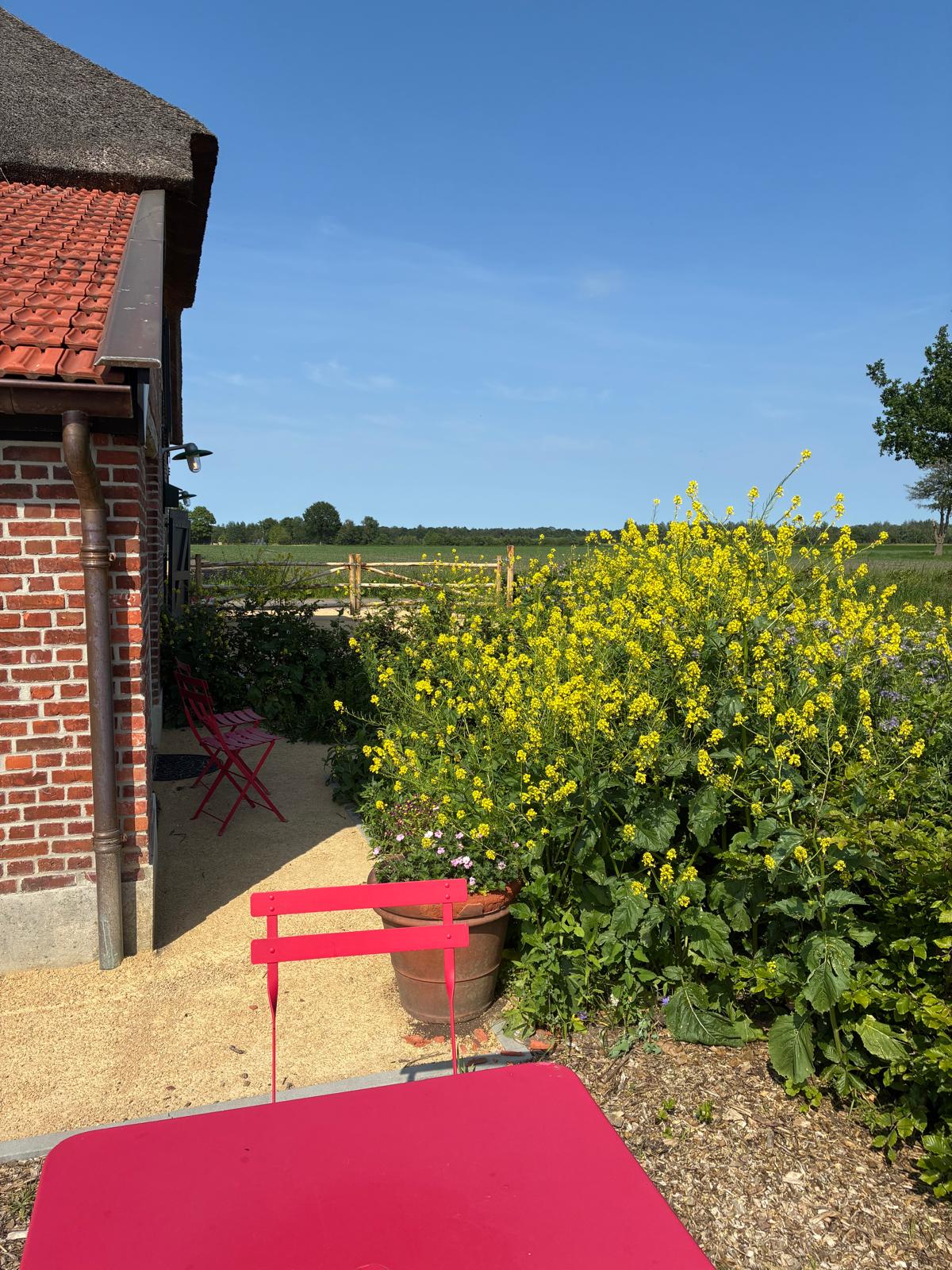 Maison nature à Chaam
